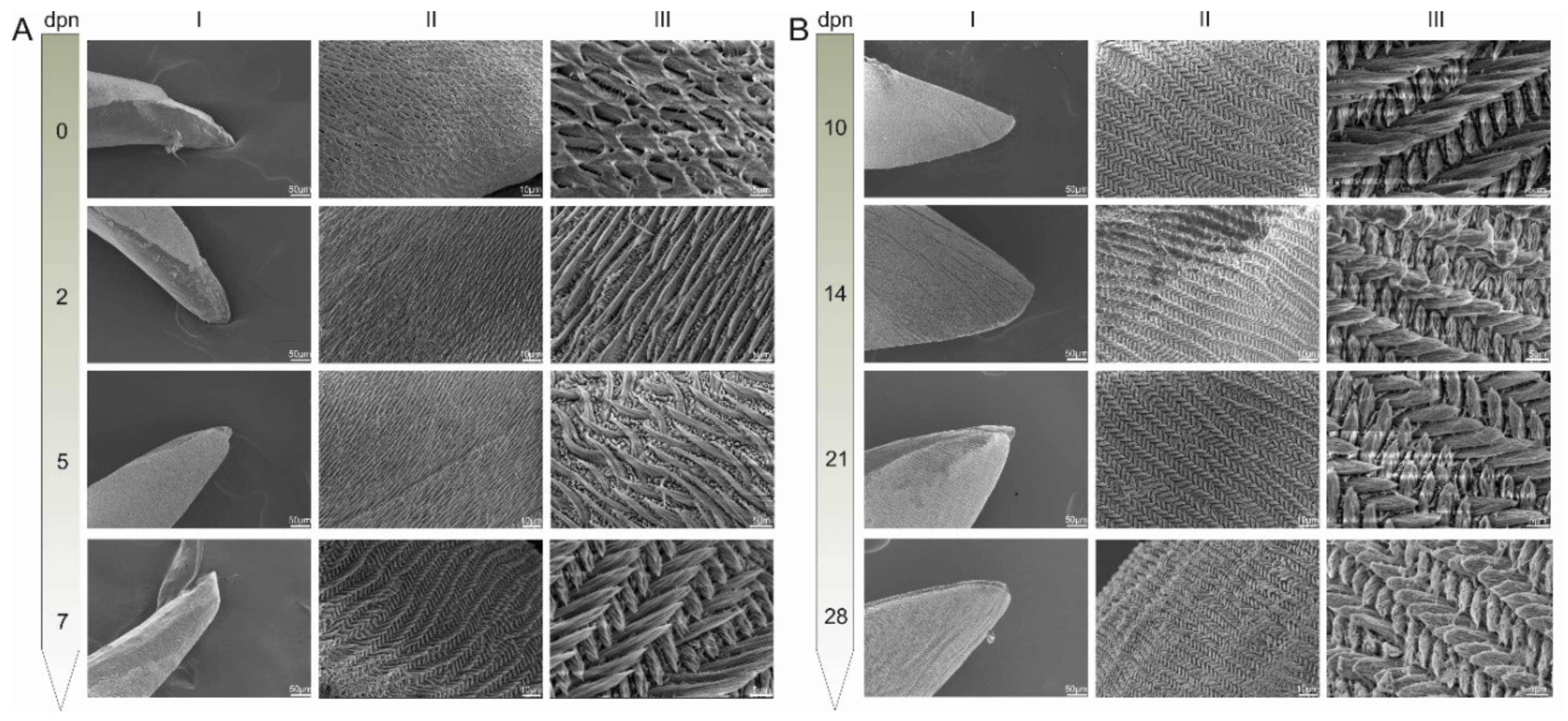 Materials 15 03993 g002