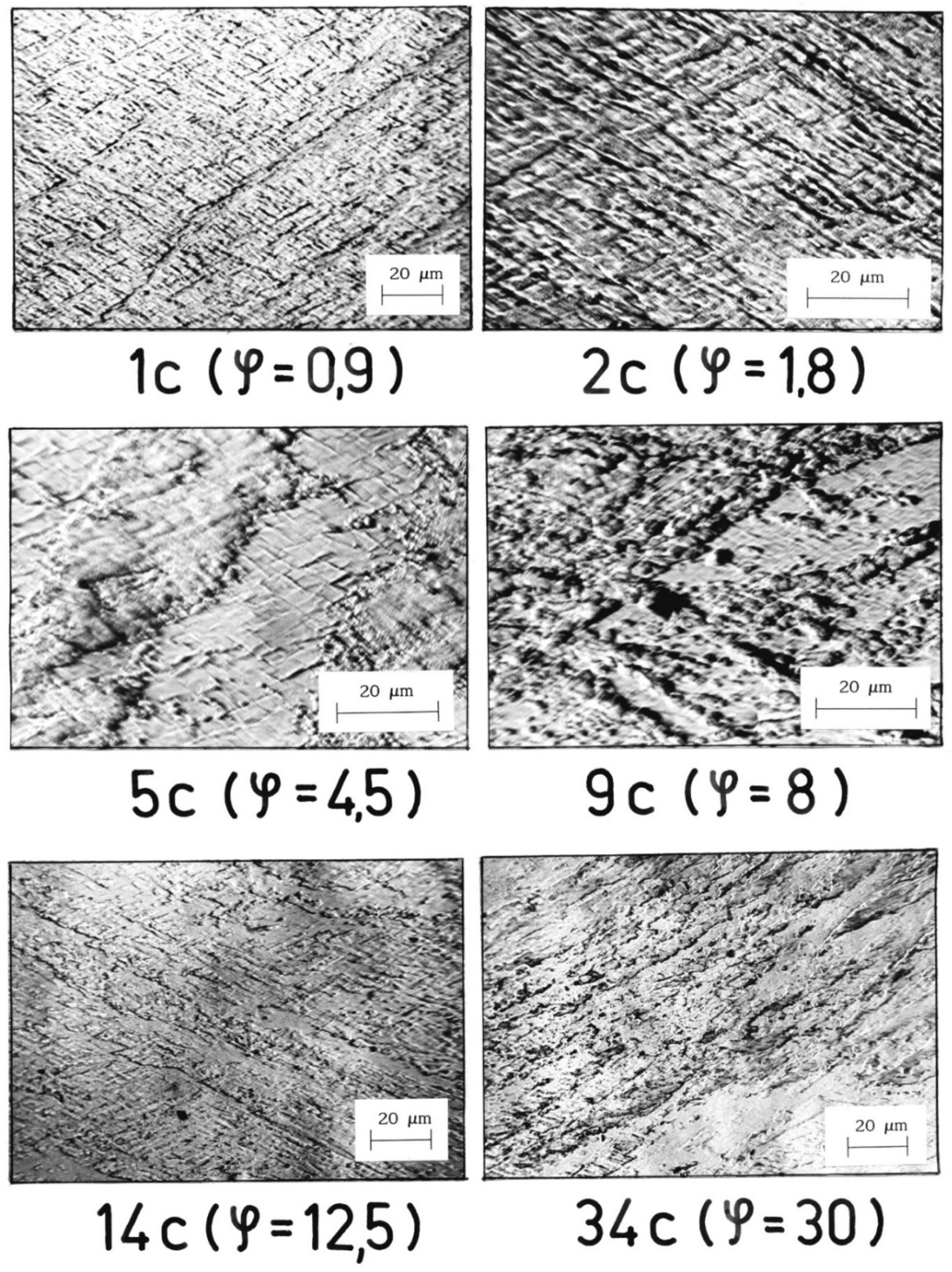 Materials 15 04006 g005 550