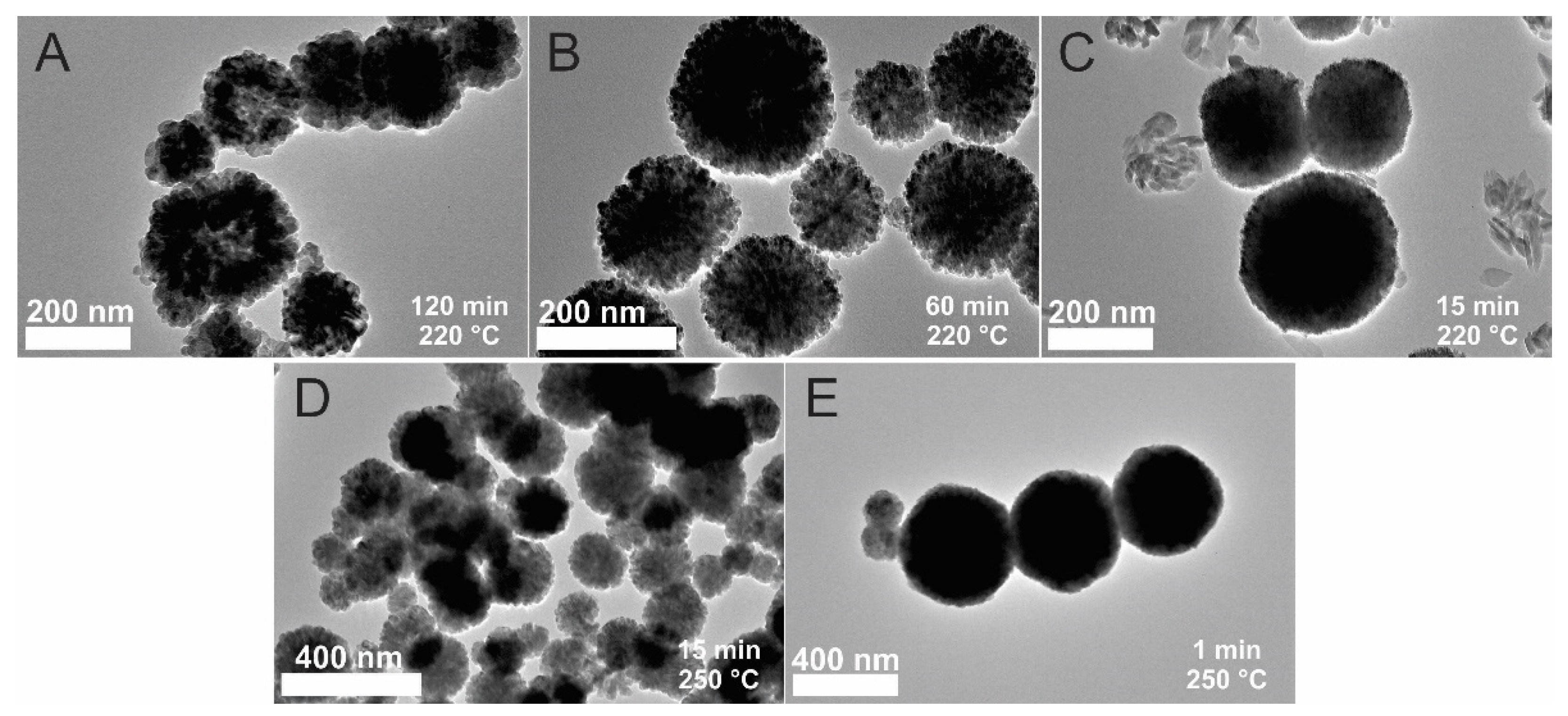 Materials 15 04008 g005 Materials 15 04008 g005