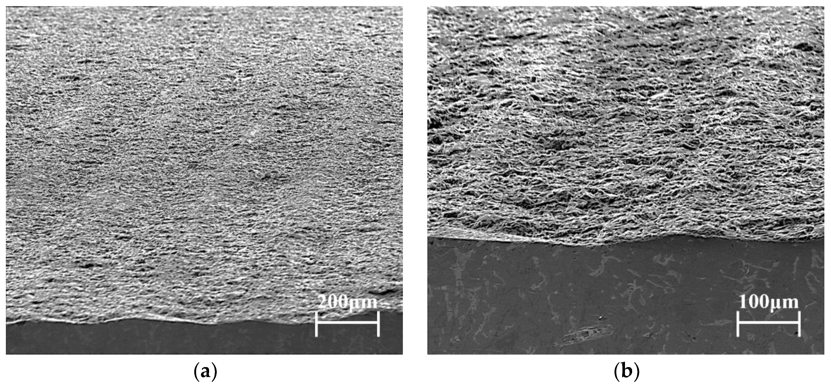 Materials 15 04010 g005