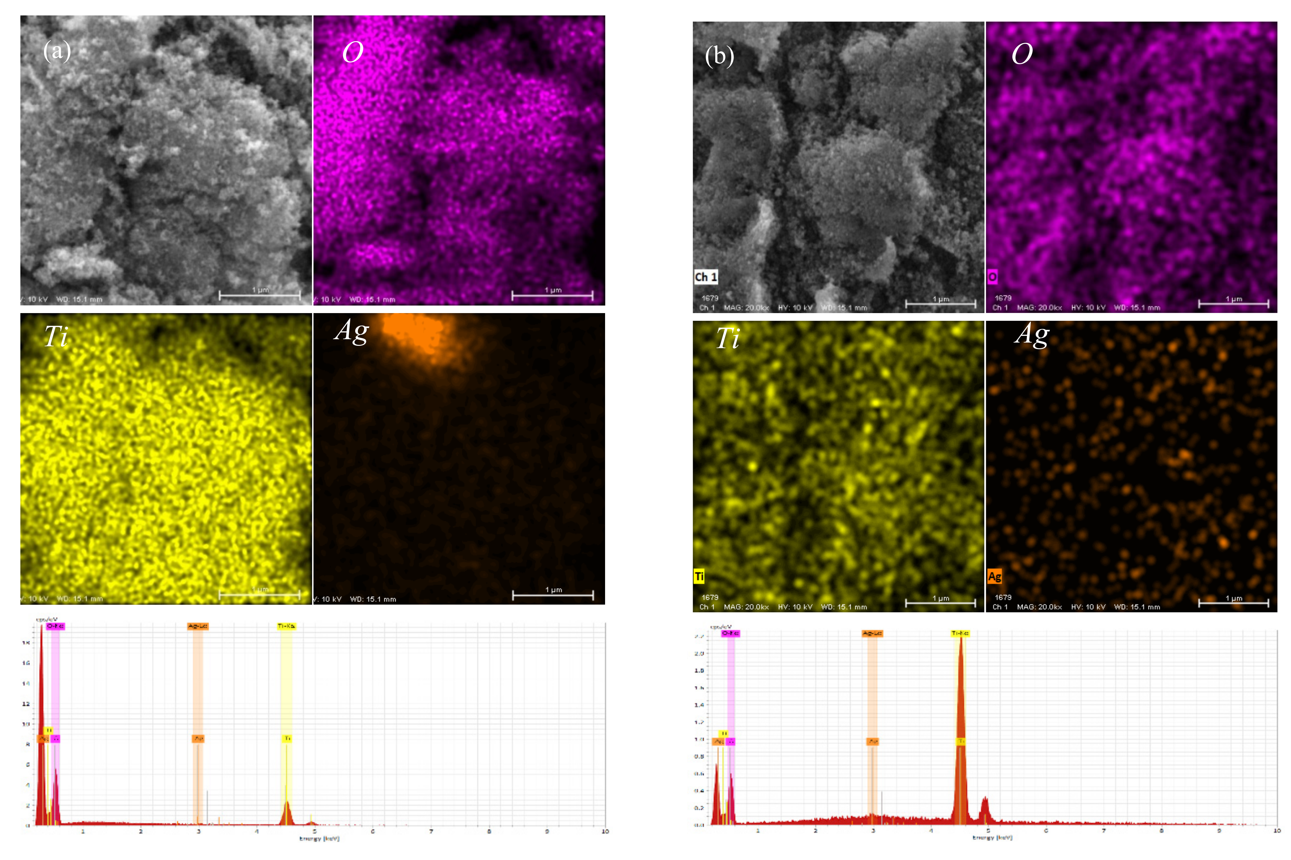 Materials 15 04031 g004a