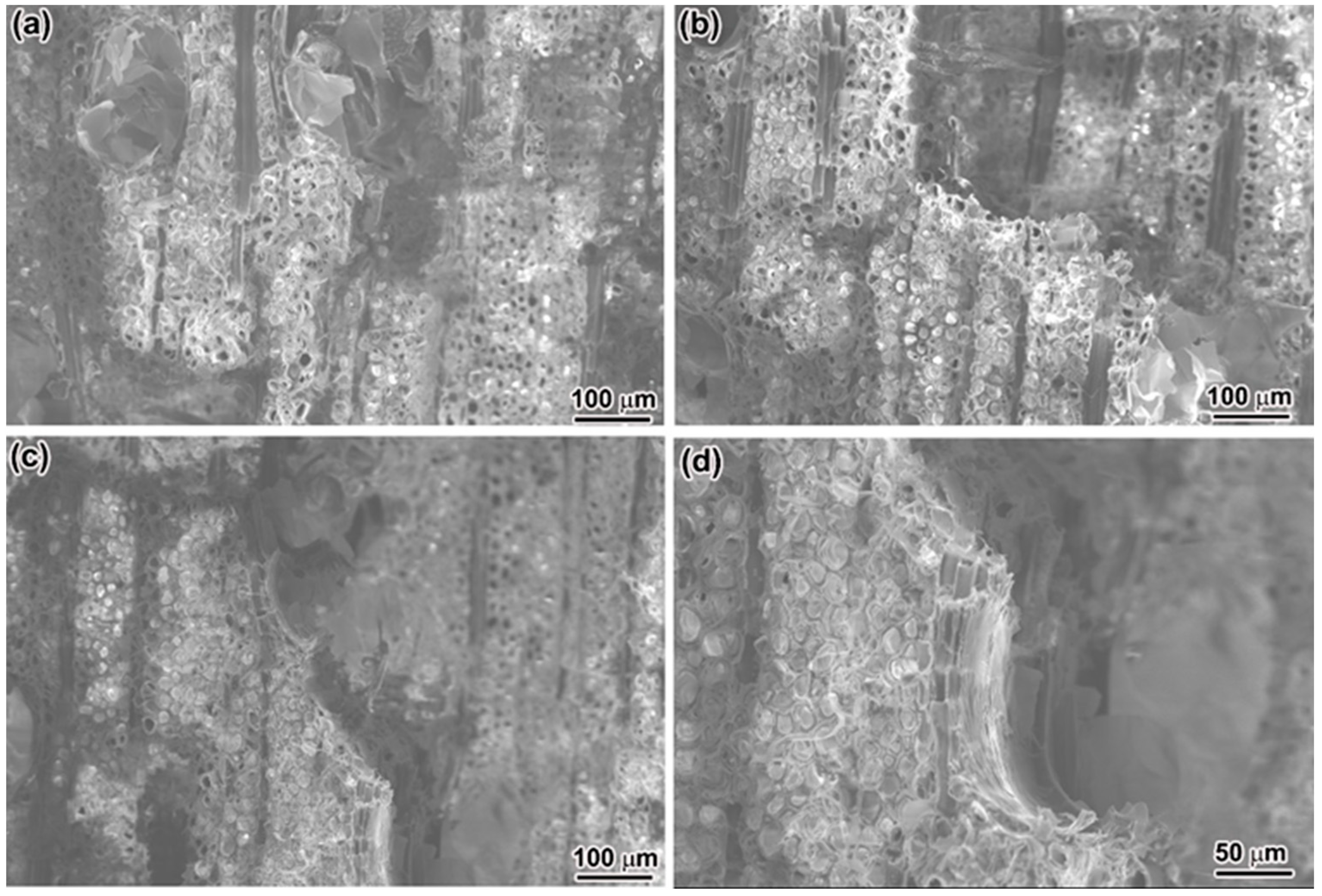 Materials 15 04039 g006