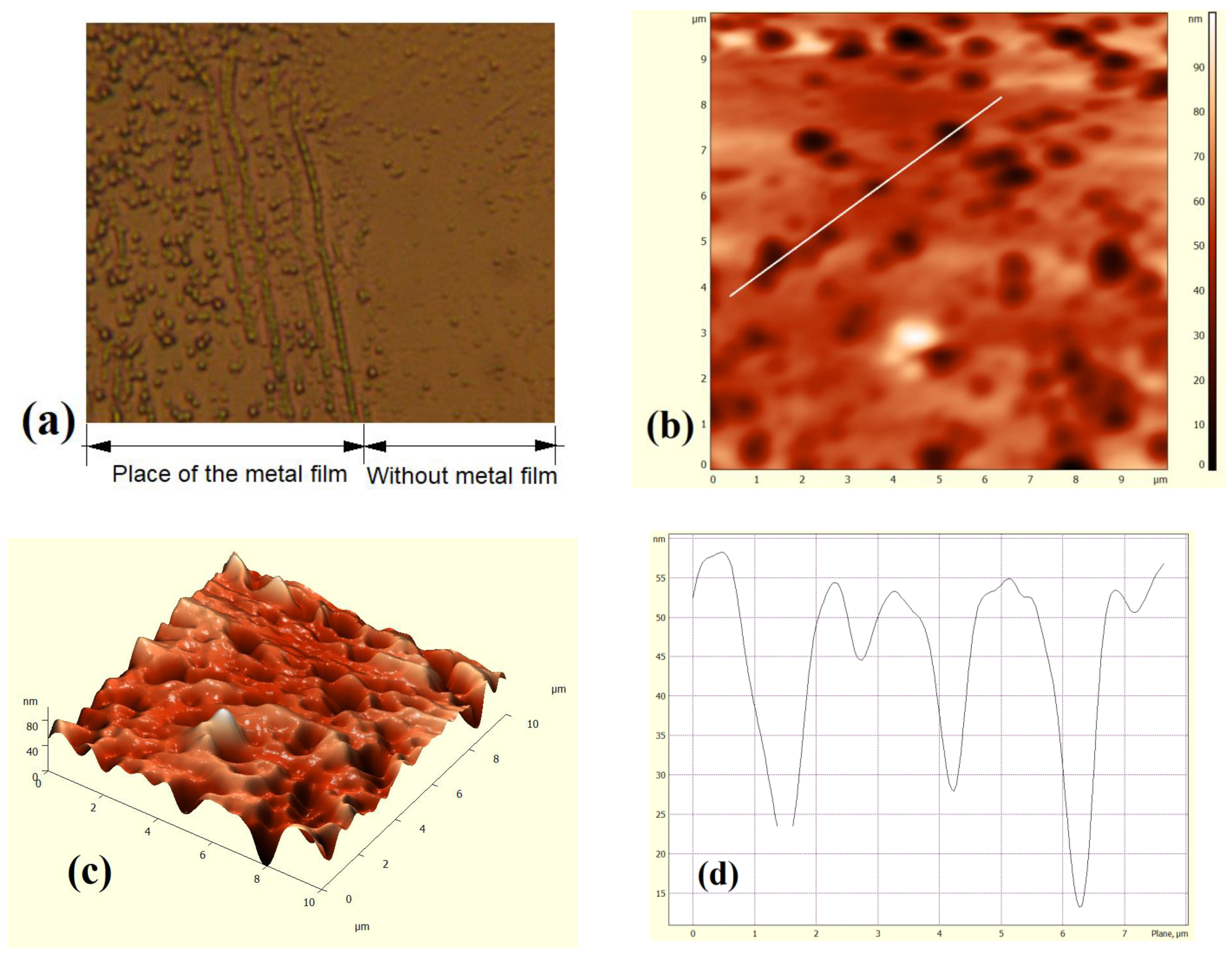Materials 15 04052 g006 Materials 15 04052 g006