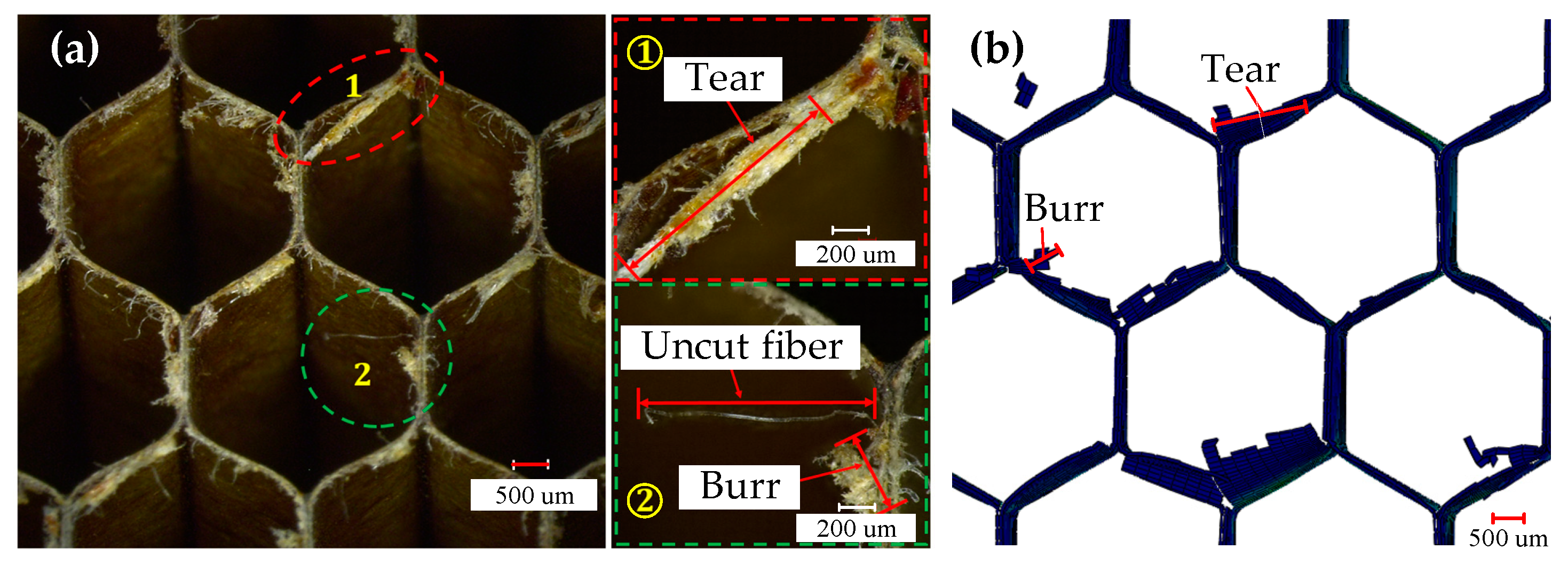 Materials 15 04063 g005