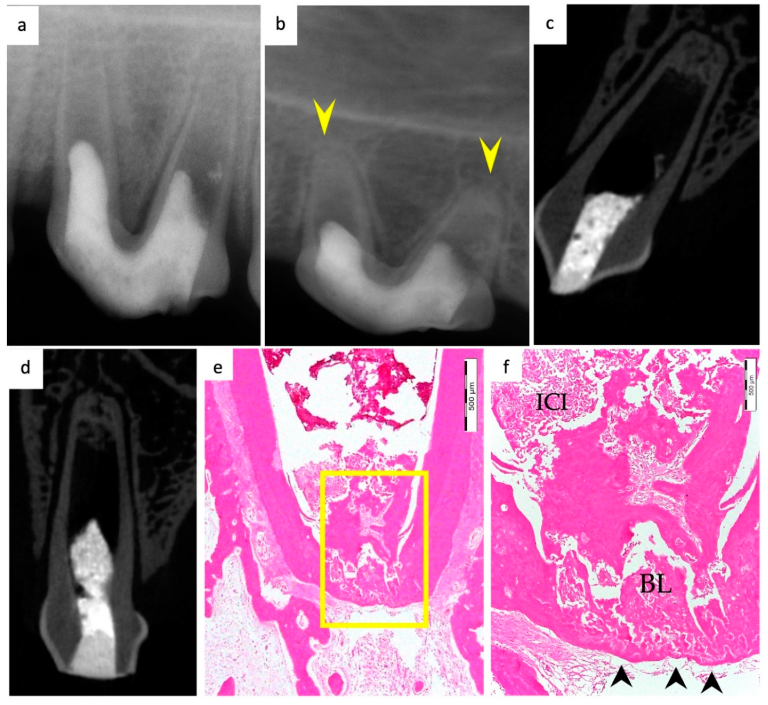 Materials 15 04095 g001 550