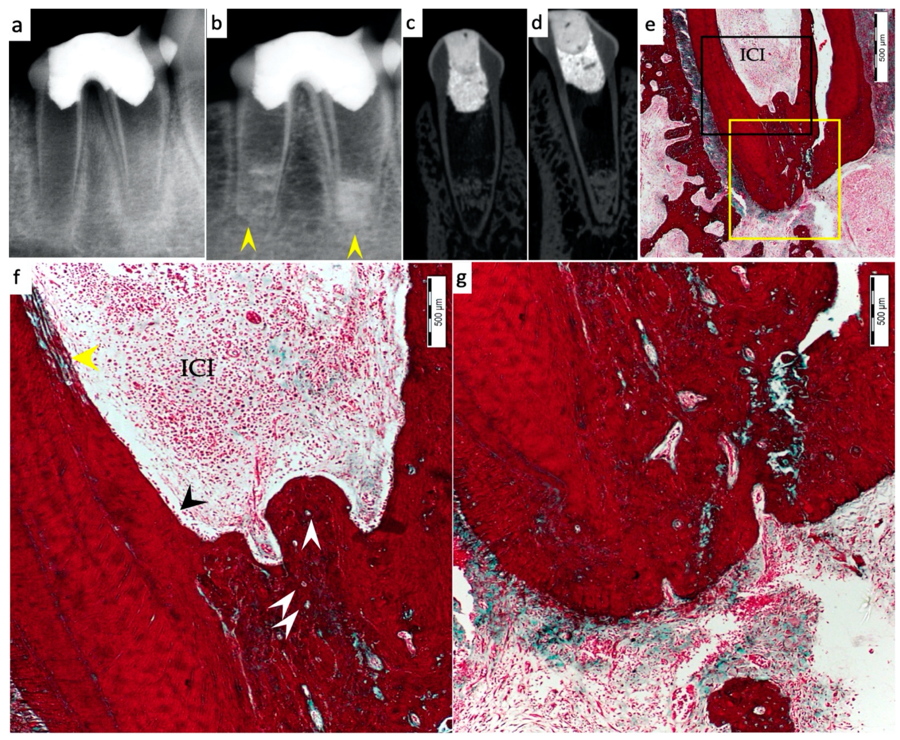 Materials 15 04095 g002 550