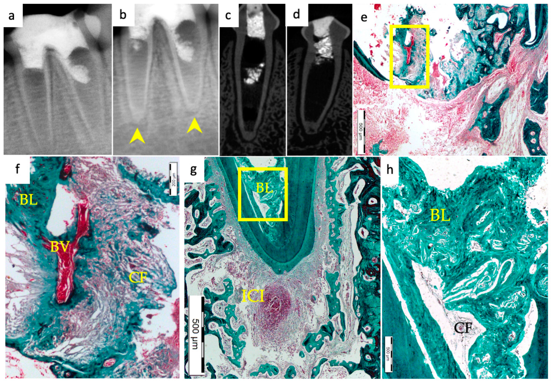Materials 15 04095 g003 550