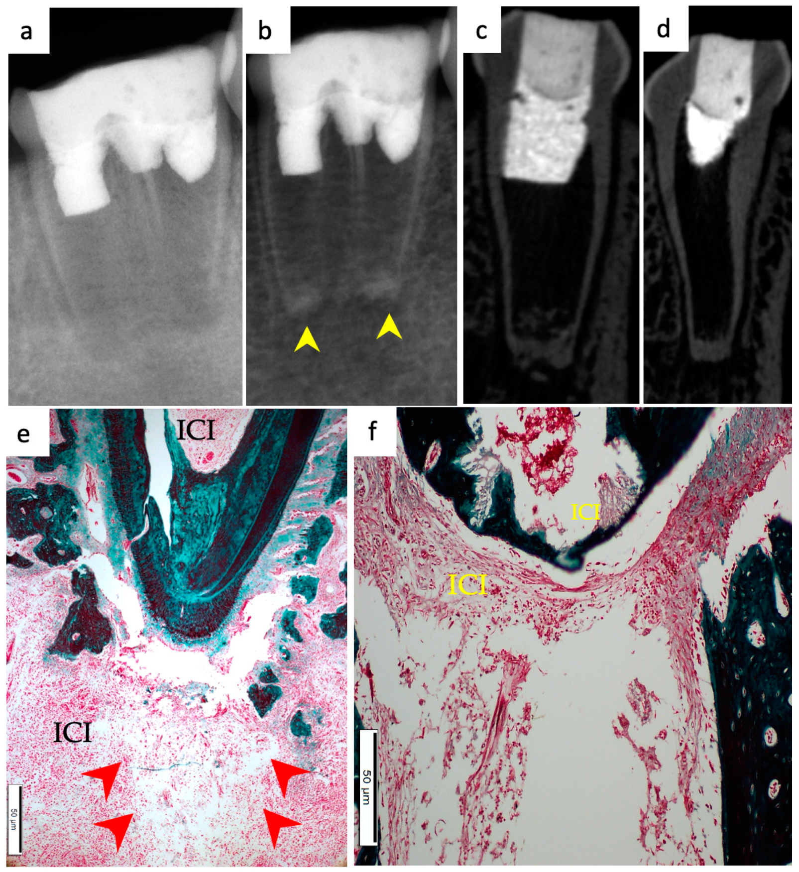 Materials 15 04095 g004 550