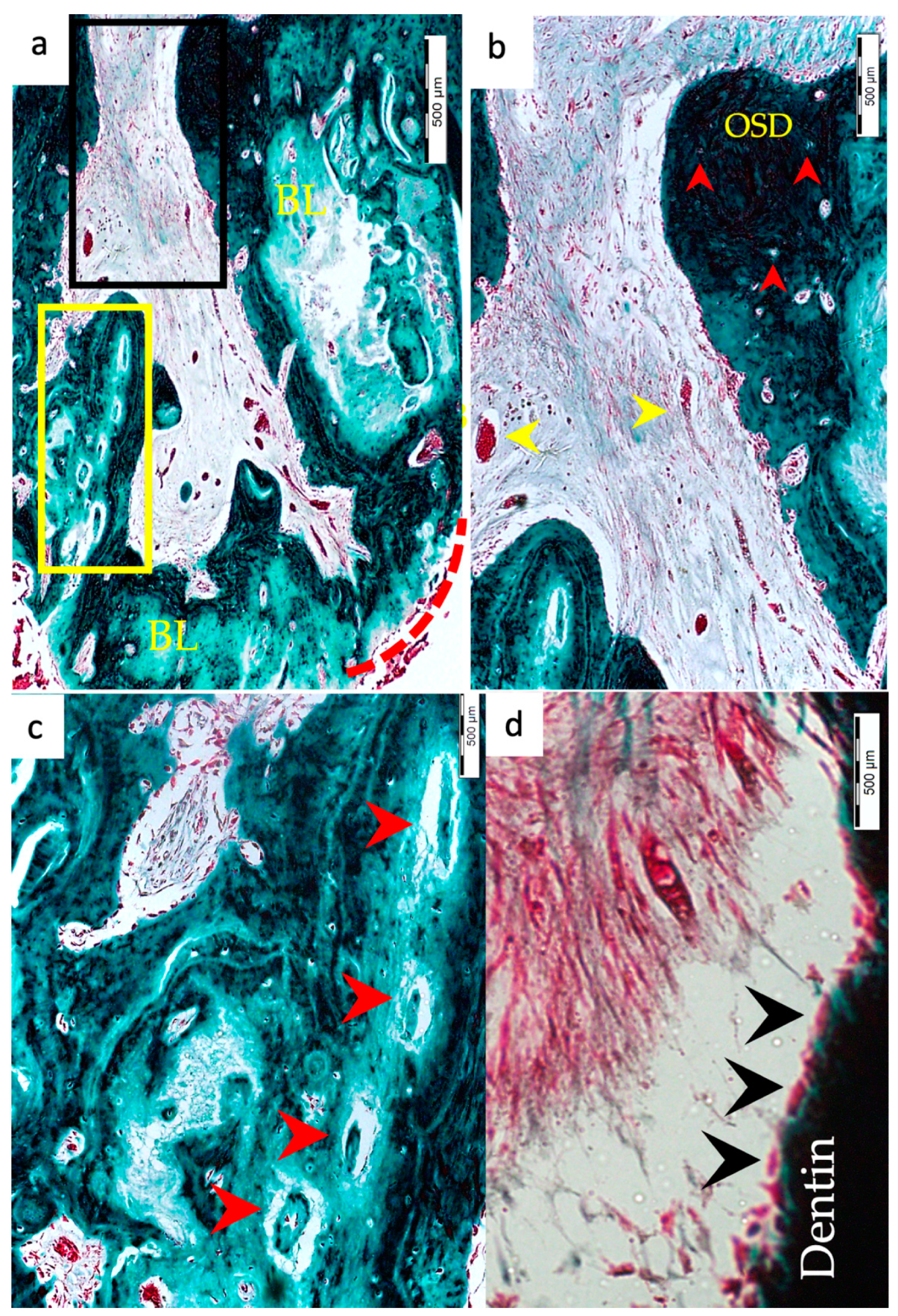 Materials 15 04095 g005 550