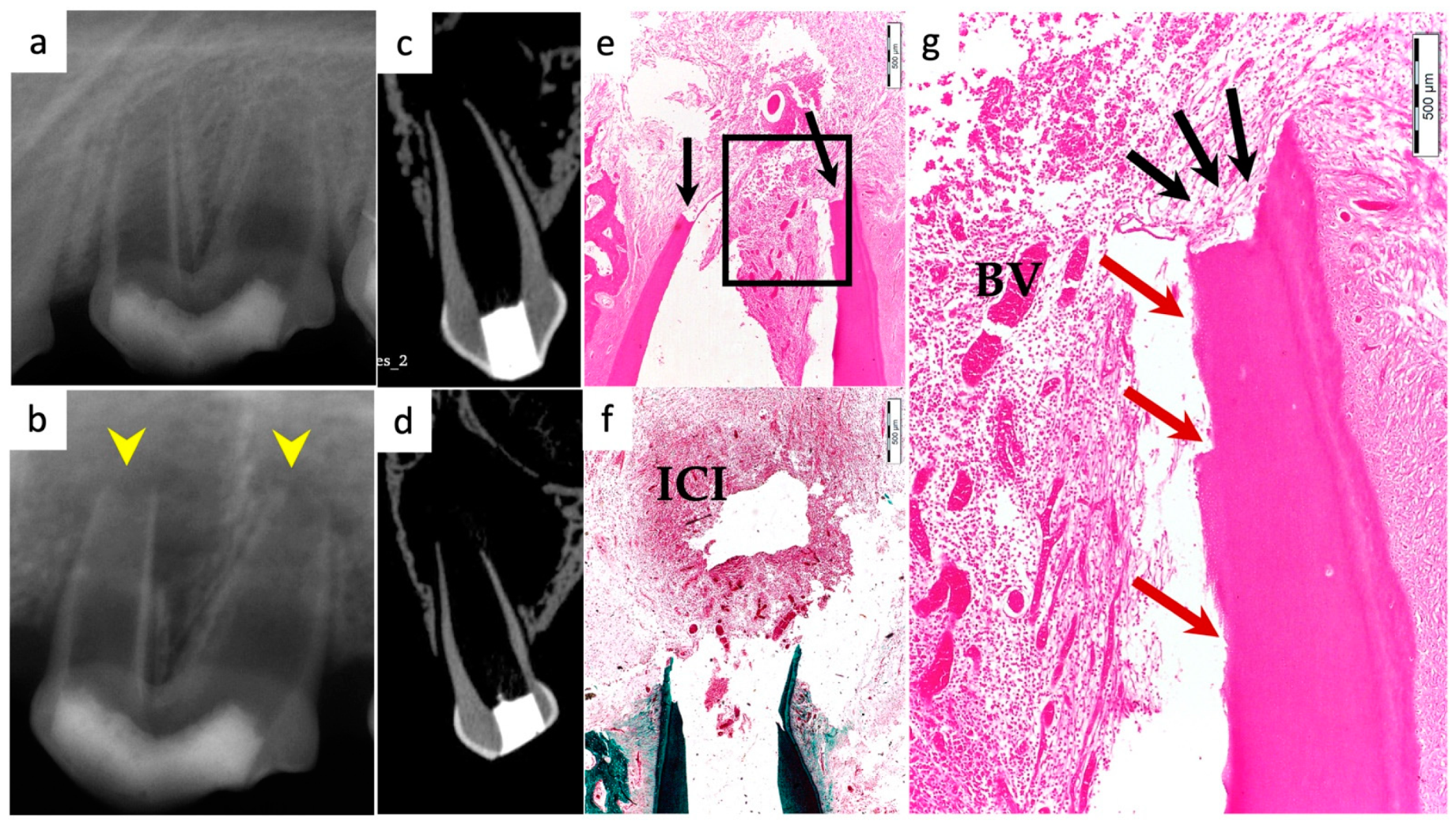 Materials 15 04095 g007 550