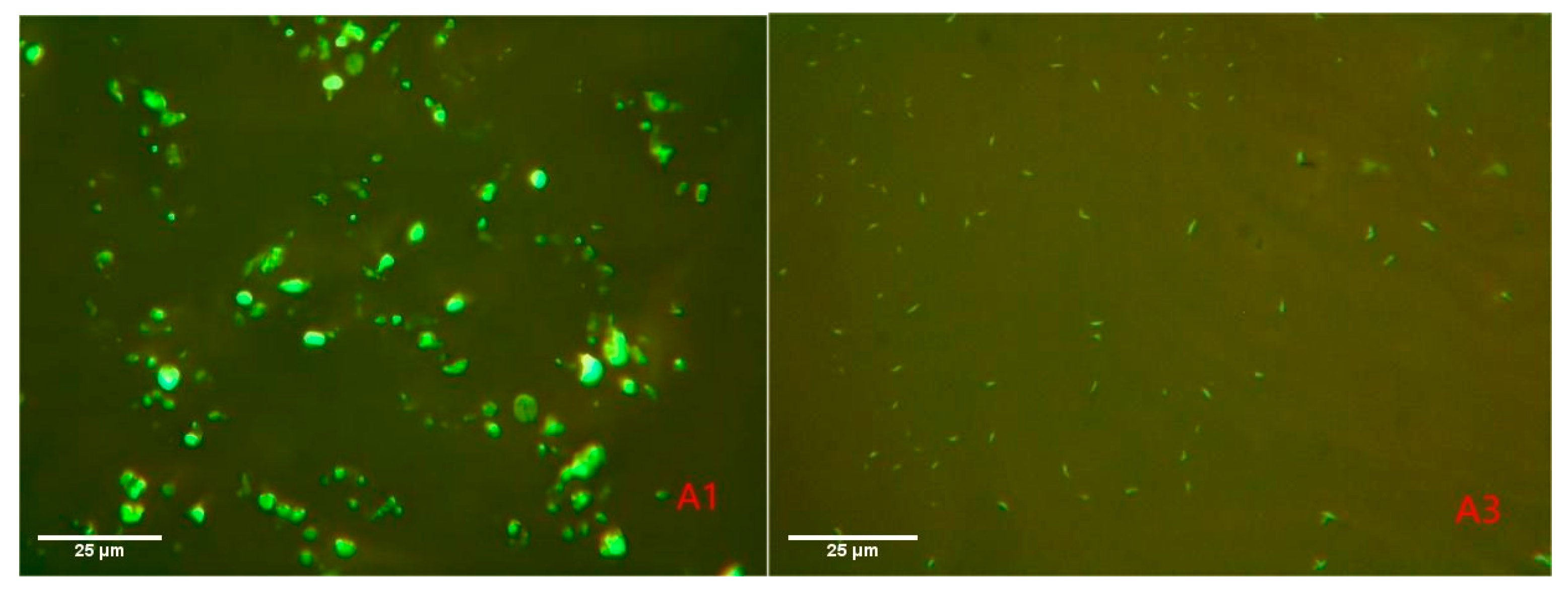 Materials 15 04101 g010