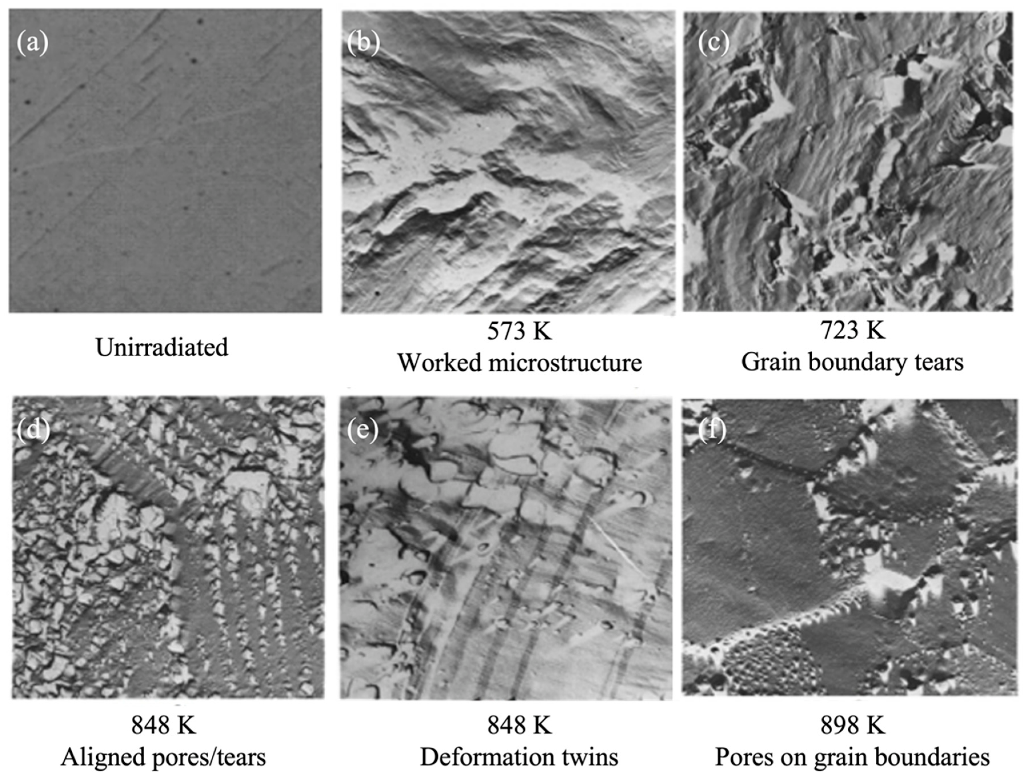 Materials 15 04106 g007 550