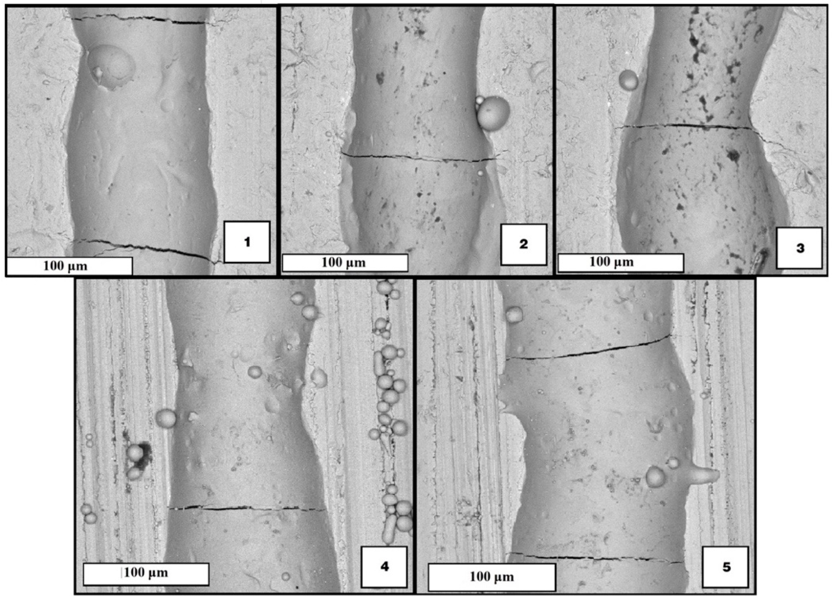Materials 15 04121 g006 550