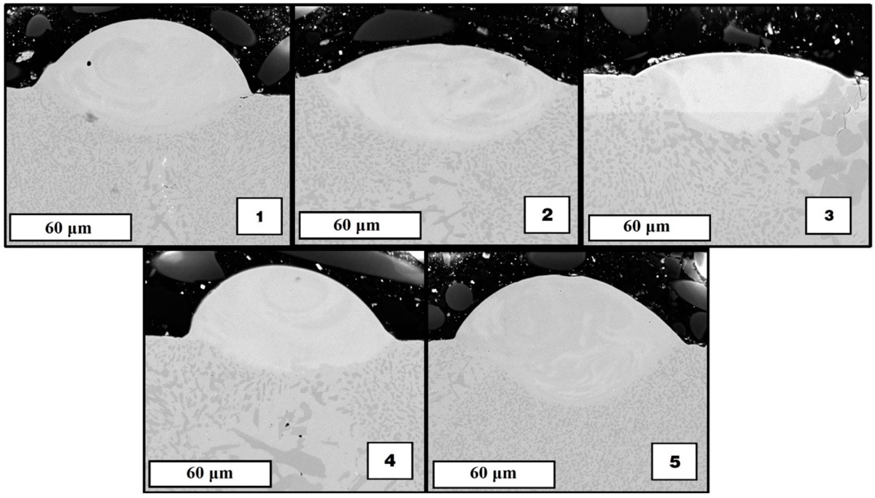 Materials 15 04121 g007 550