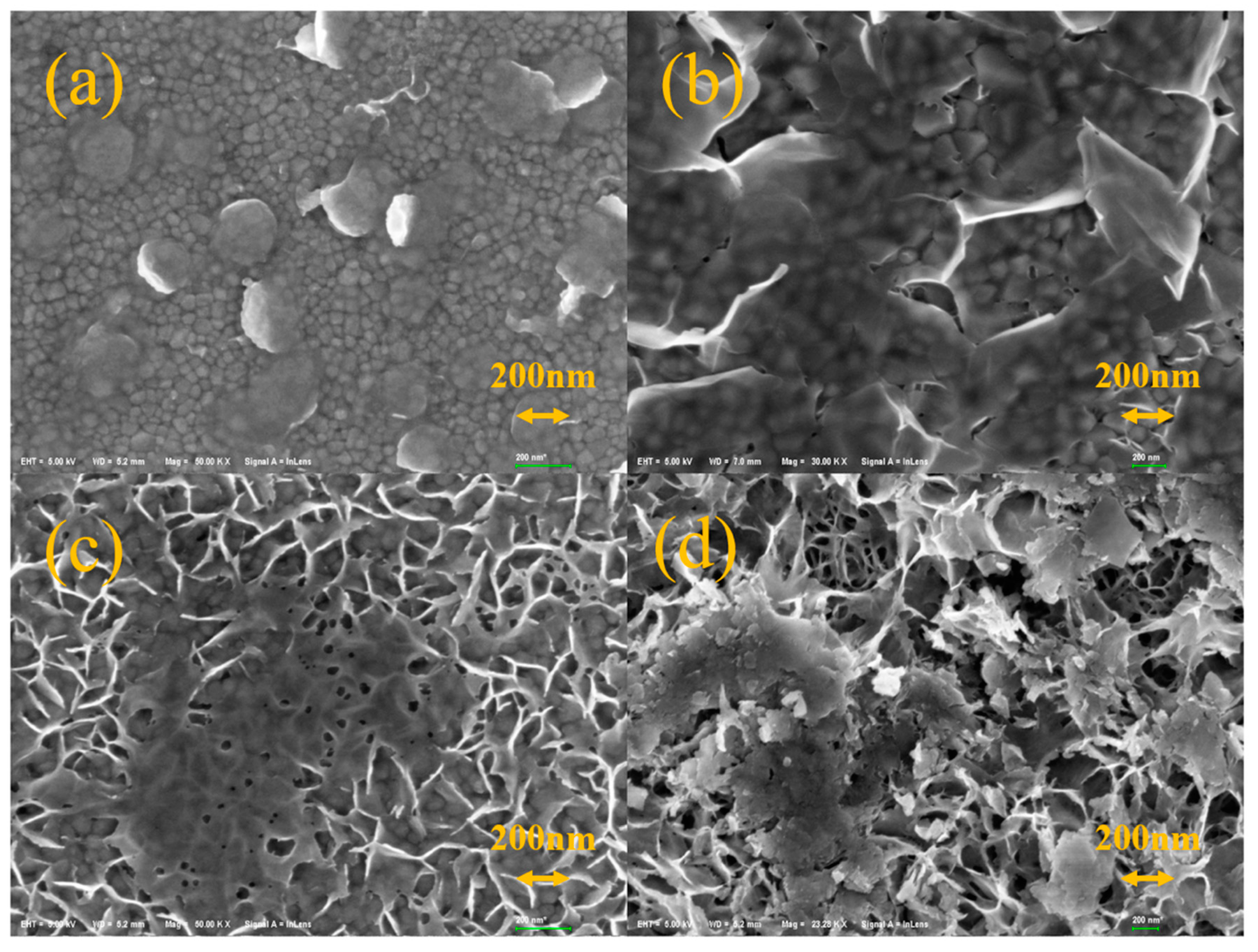 Materials 15 04129 g007 550