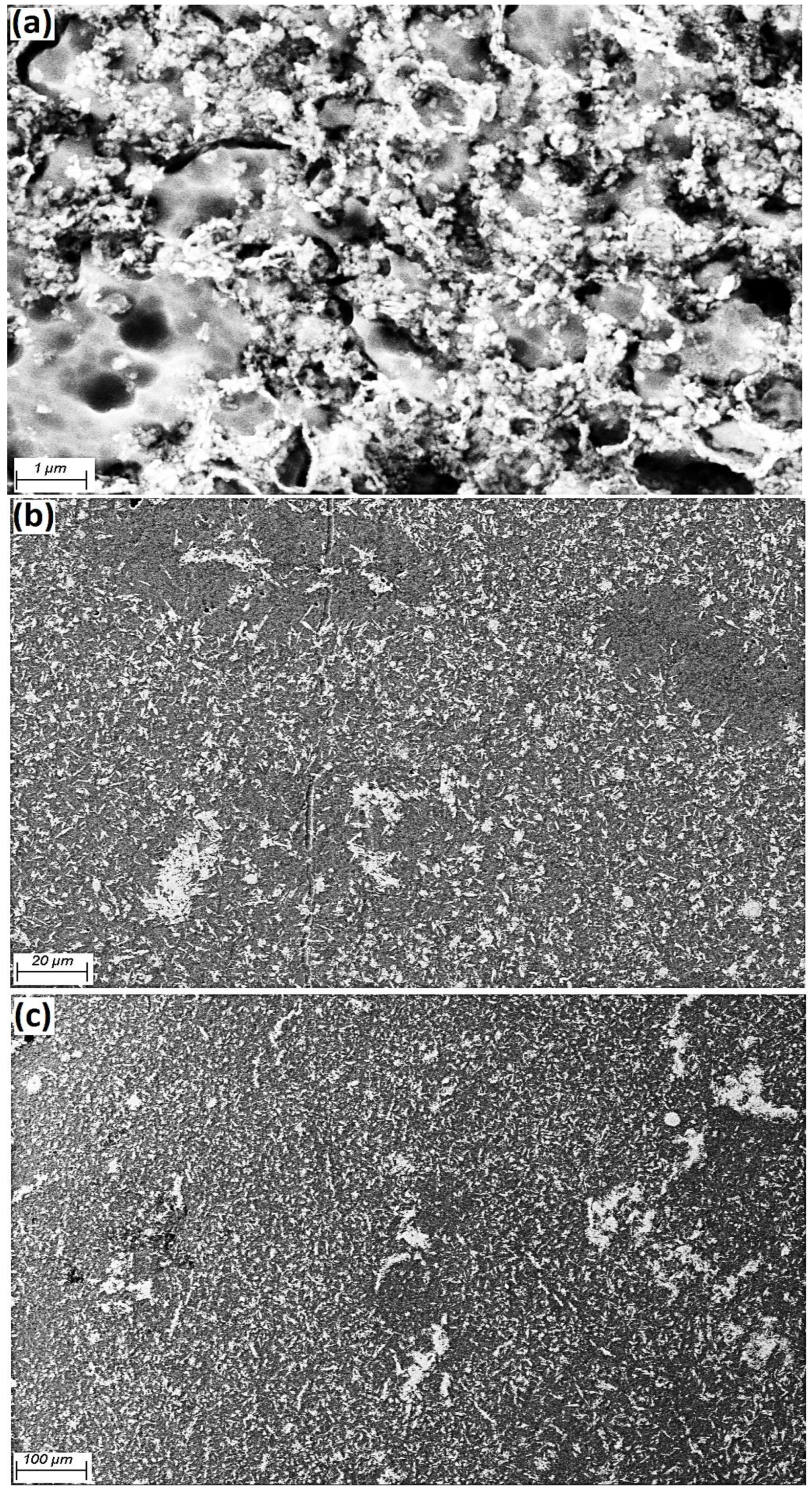 Materials 15 04153 g004