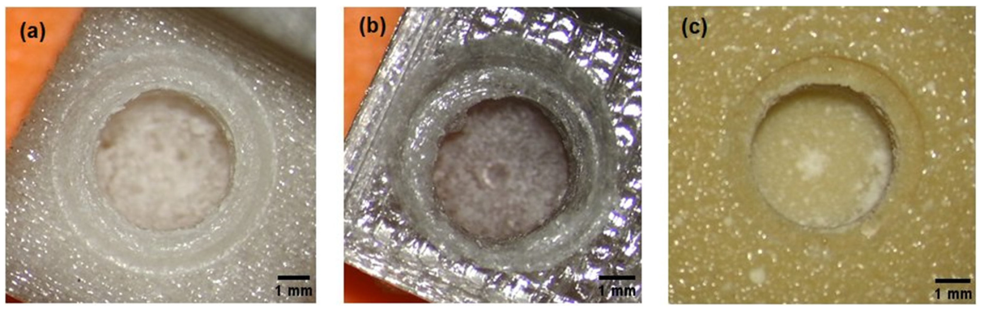 Materials 15 04162 g007 550