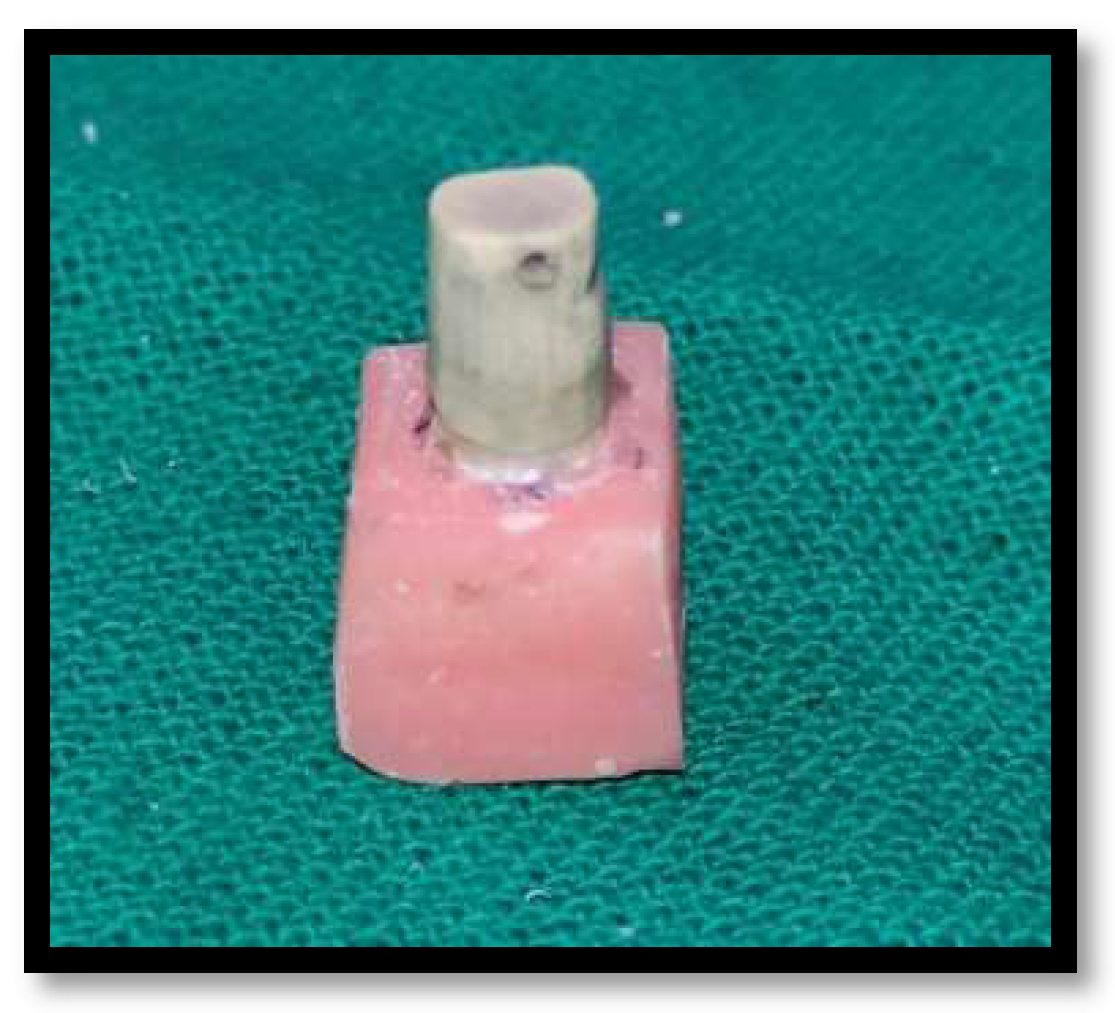 Materials 15 04167 g003 550