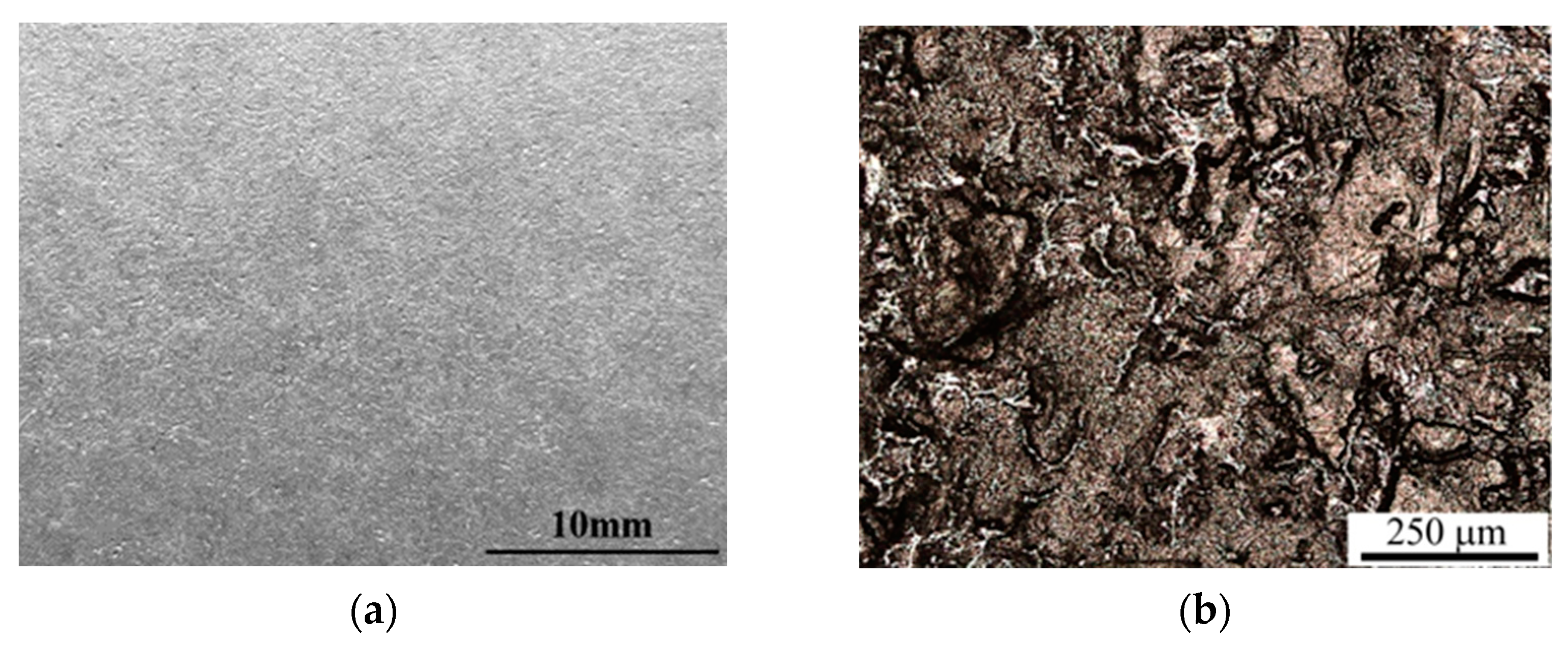 Materials 15 04210 g008