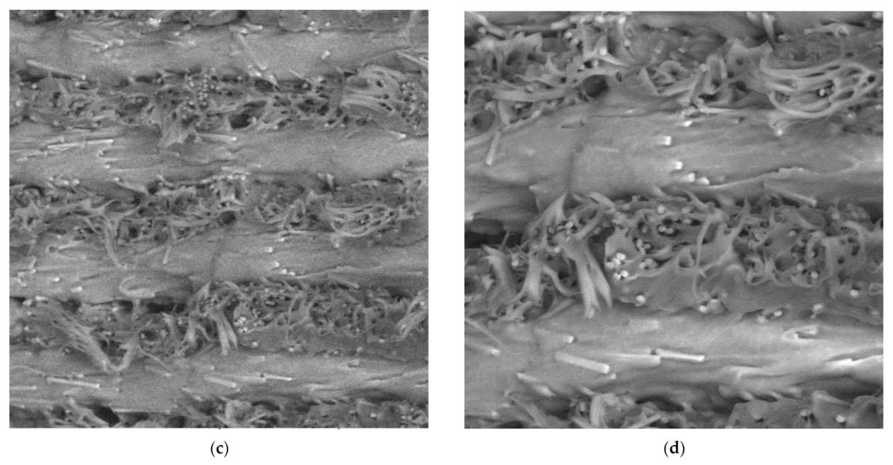 Materials 15 04224 g014b 550