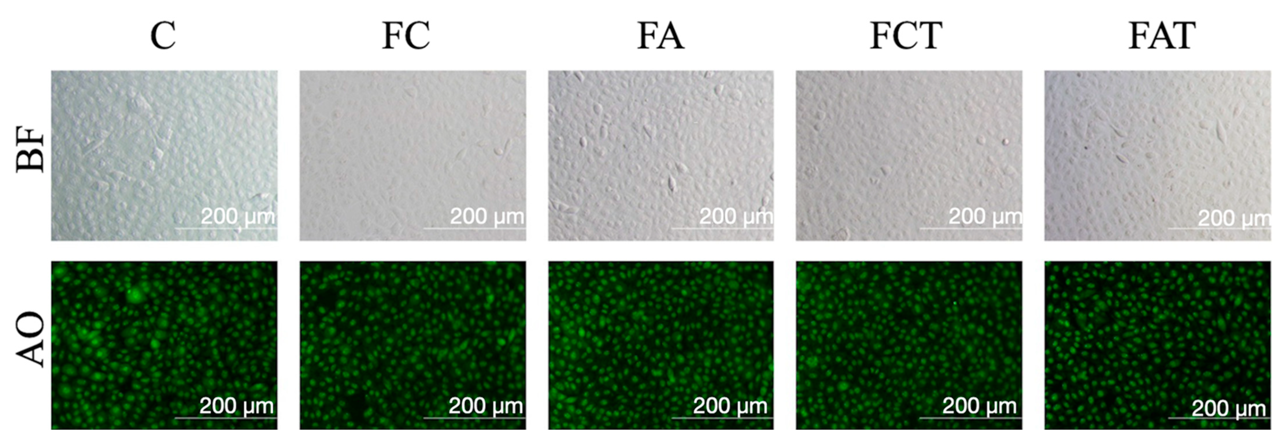 Materials 15 04232 g002