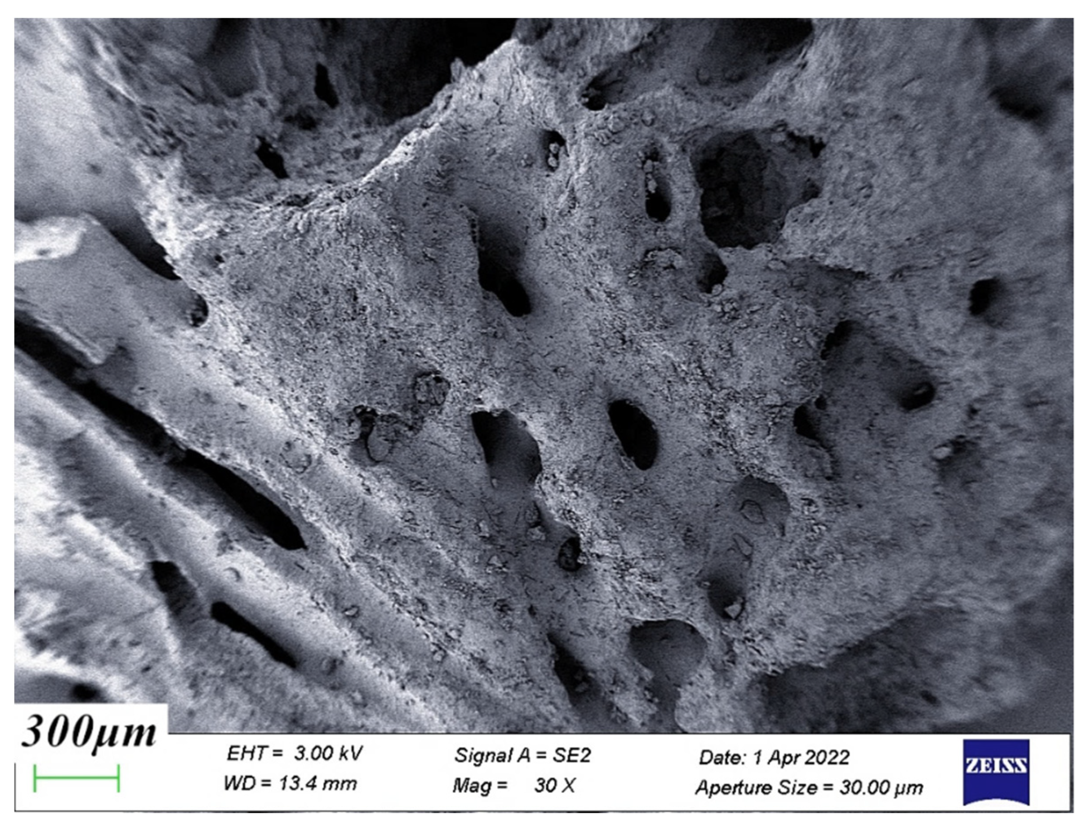 Materials 15 04234 g013 550