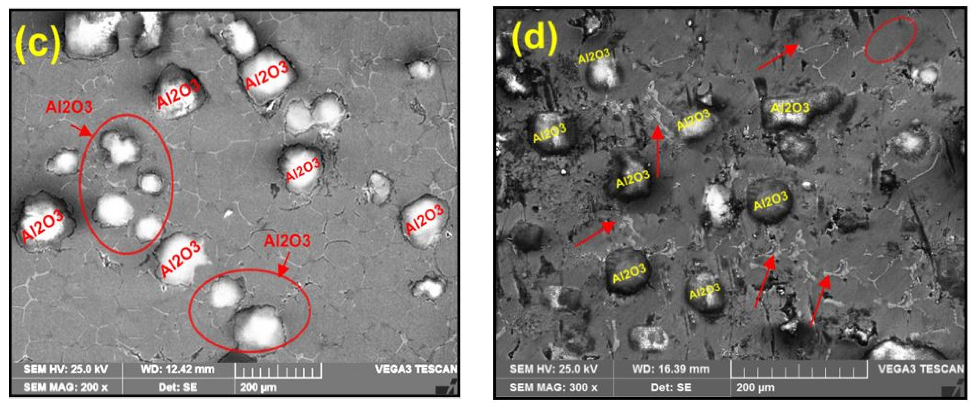 Materials 15 04244 g001b