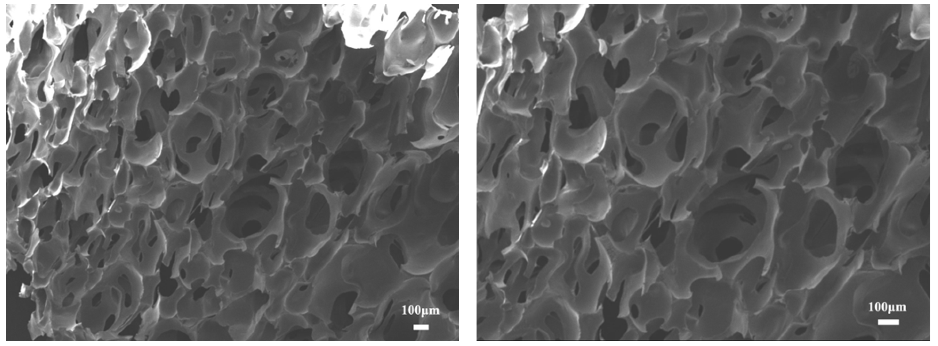 Materials 15 04269 g005