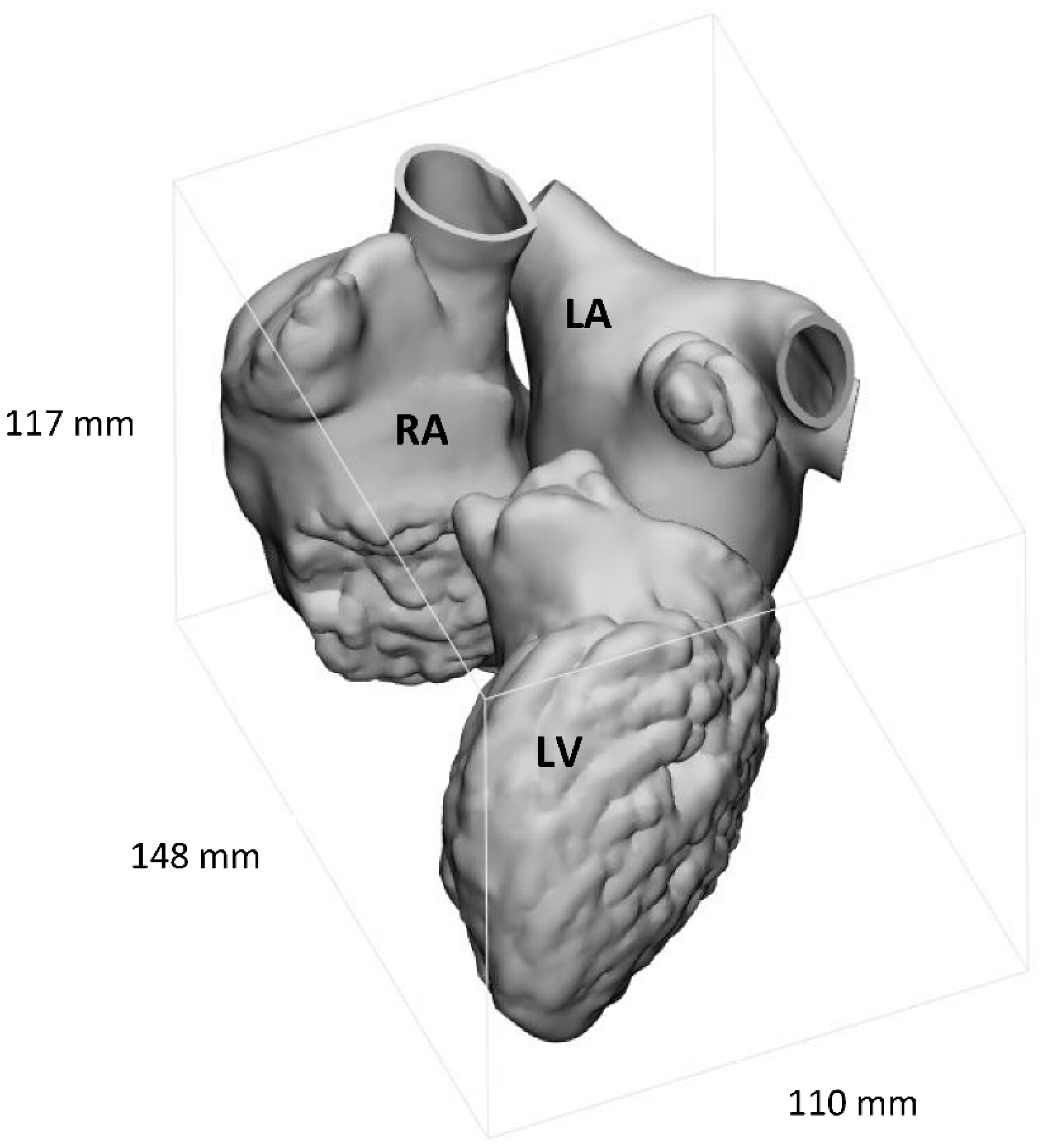 Materials | Free Full-Text | Demonstration of Use of a Novel 3D Printed Simulator for Mitral Valve Transcatheter Edge-to-Edge Repair (TEER) Materials | Free Full-Text | Demonstration of Use of a Novel 3D Printed Simulator for Mitral Valve Transcatheter Edge-to-Edge Repair (TEER)