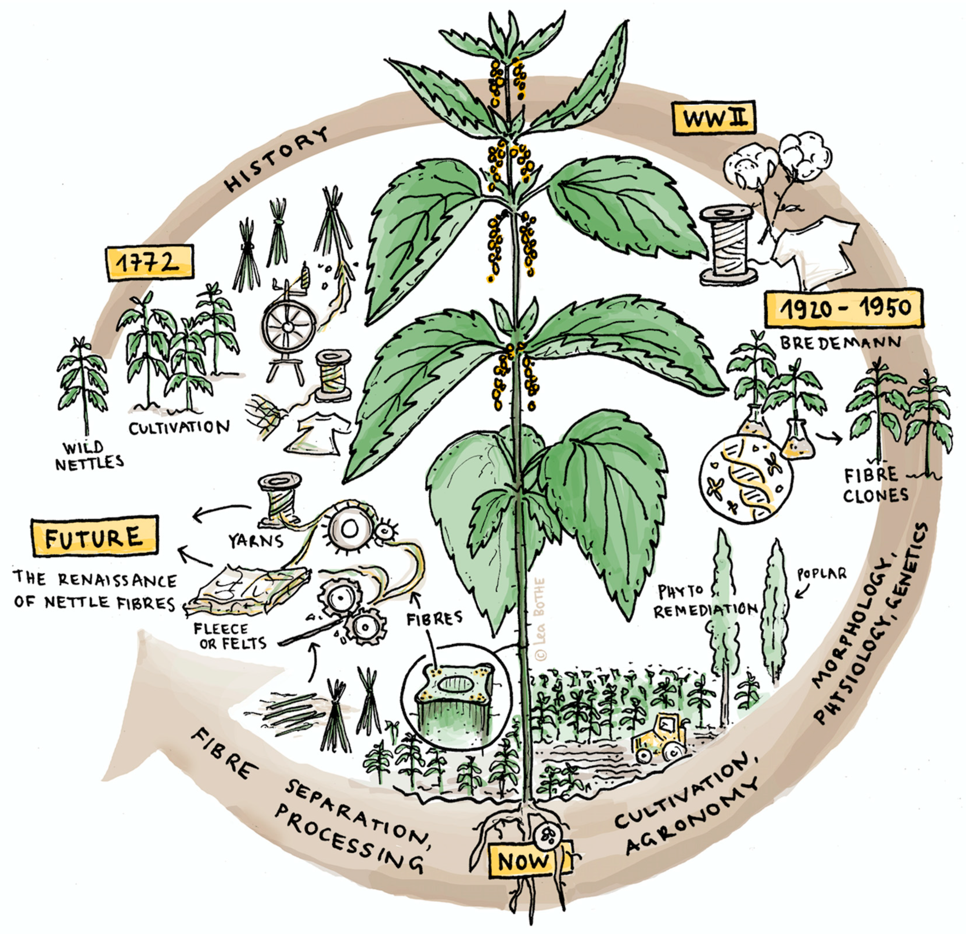 Startup Spotlight: How  is Cultivating a Digital Ecosystem for  Russian Farmers