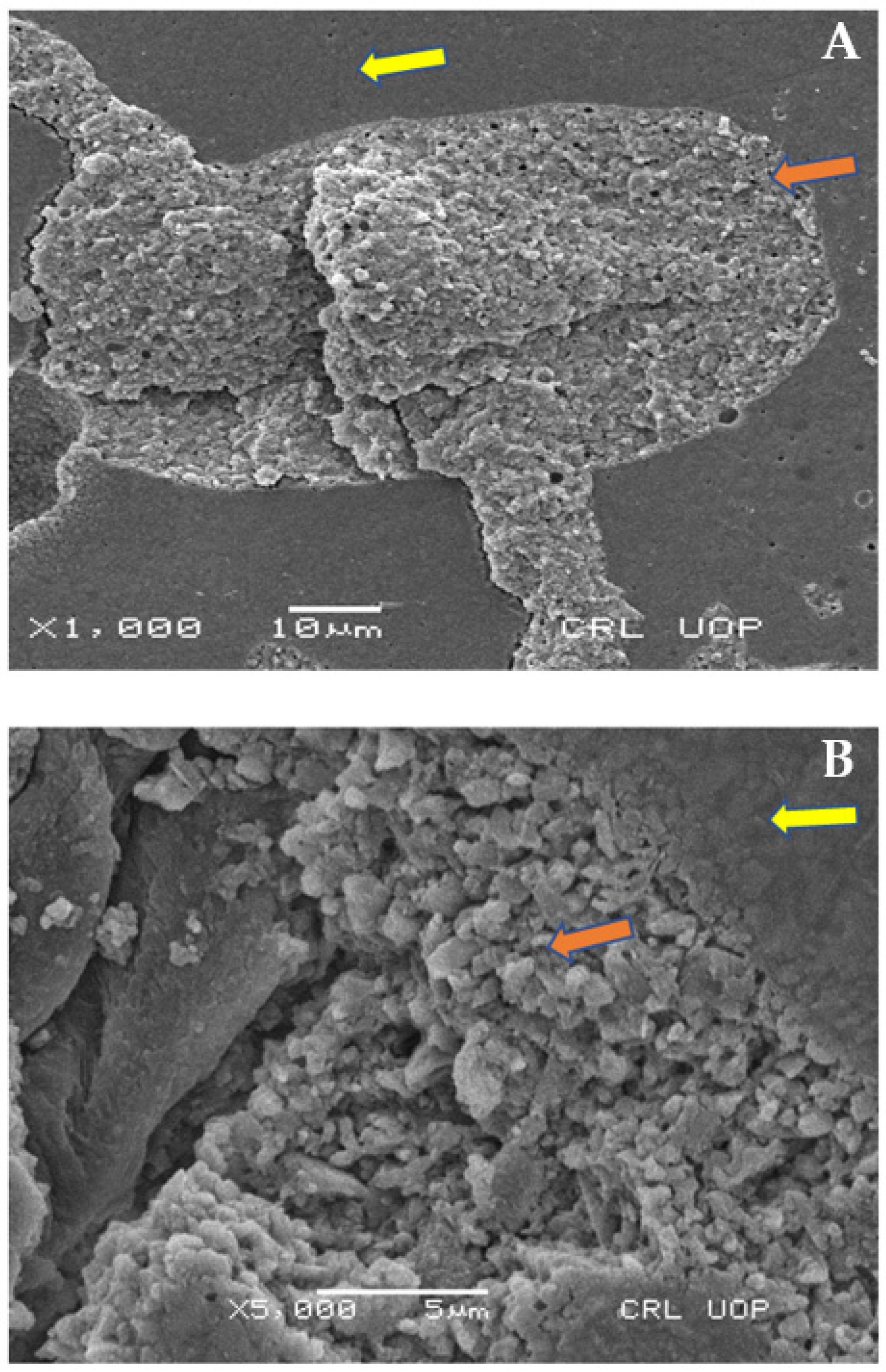 Materials 15 04293 g007 Materials 15 04293 g007