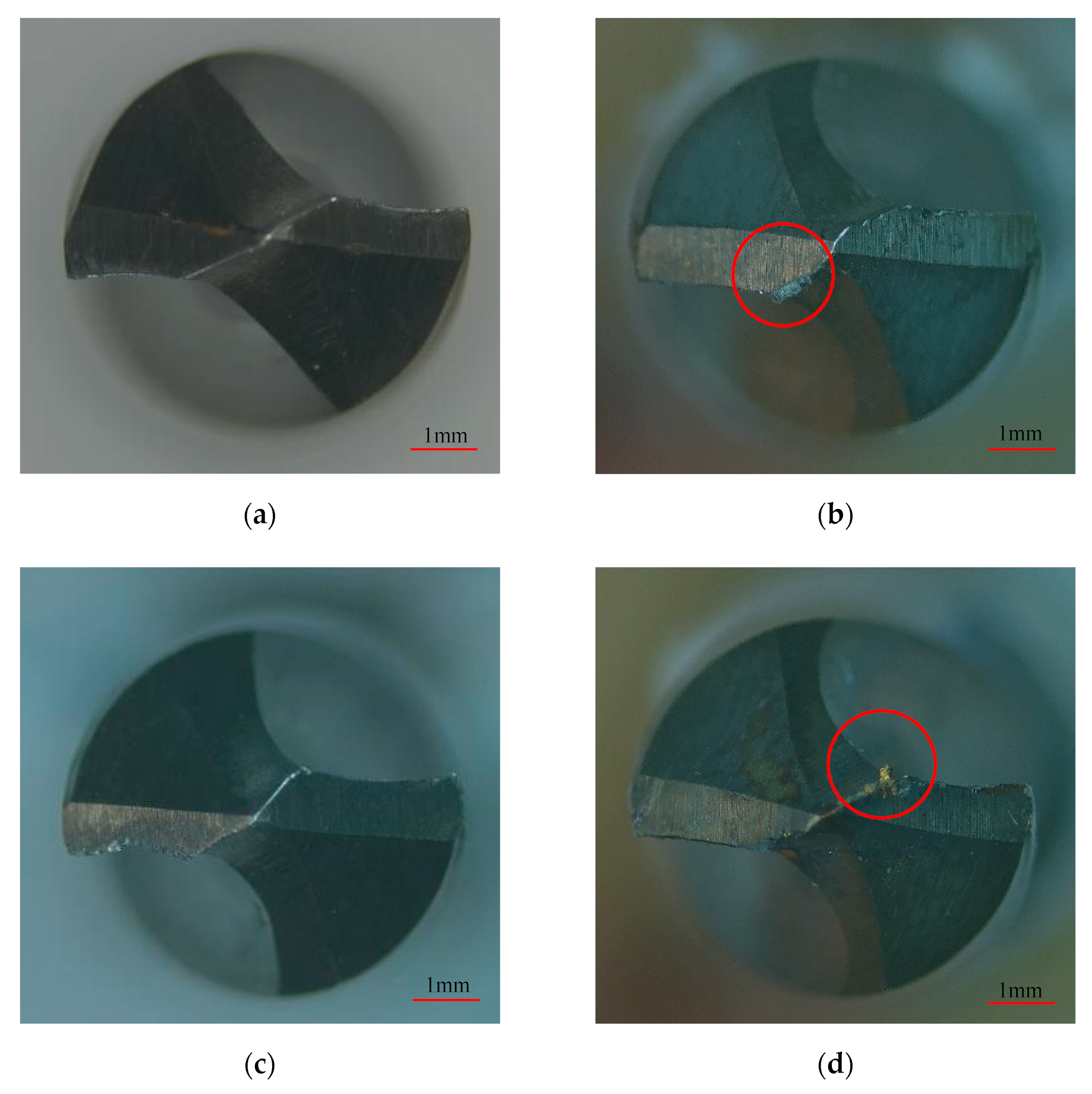 Materials 15 04302 g008