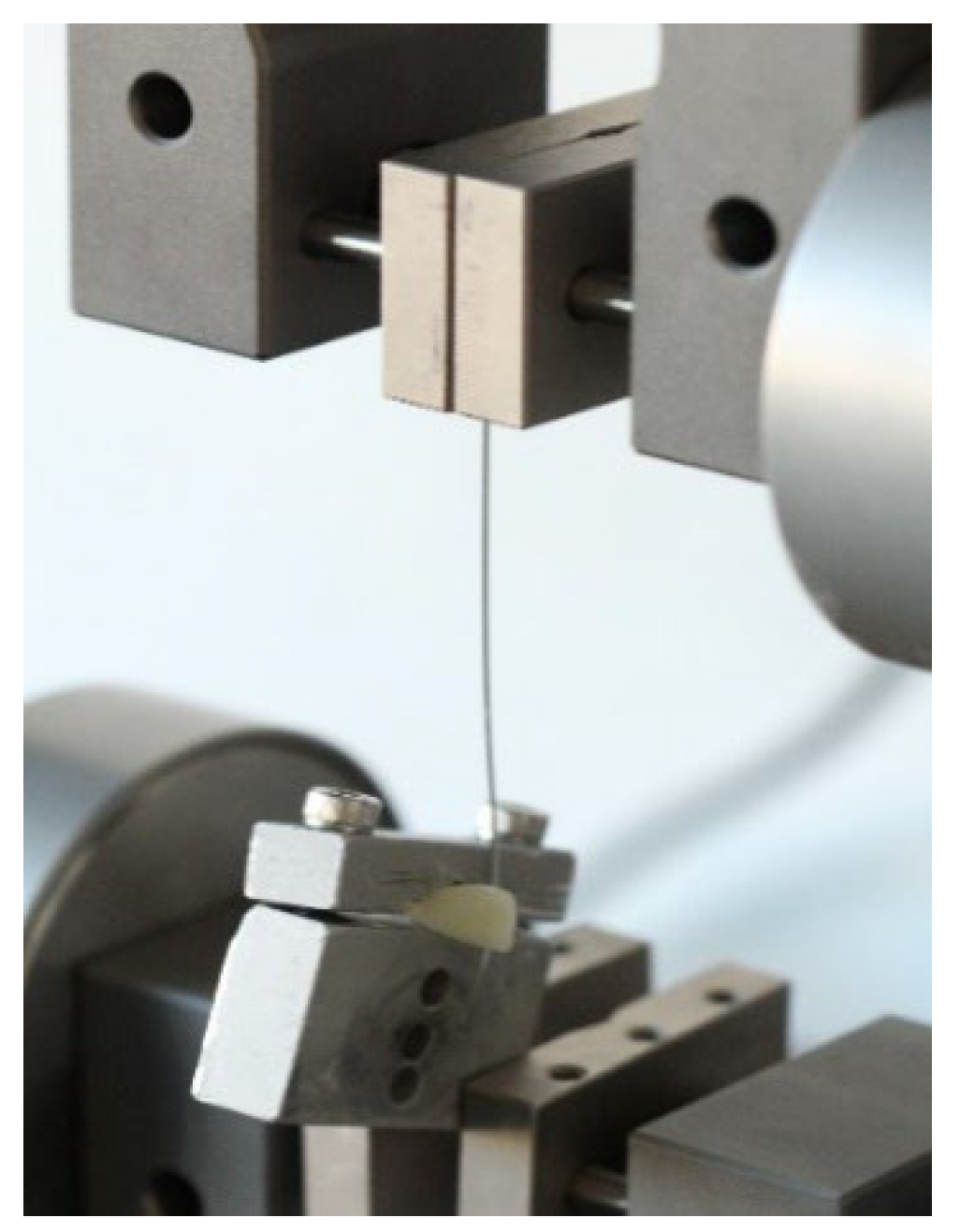 Materials 15 04304 g005 550