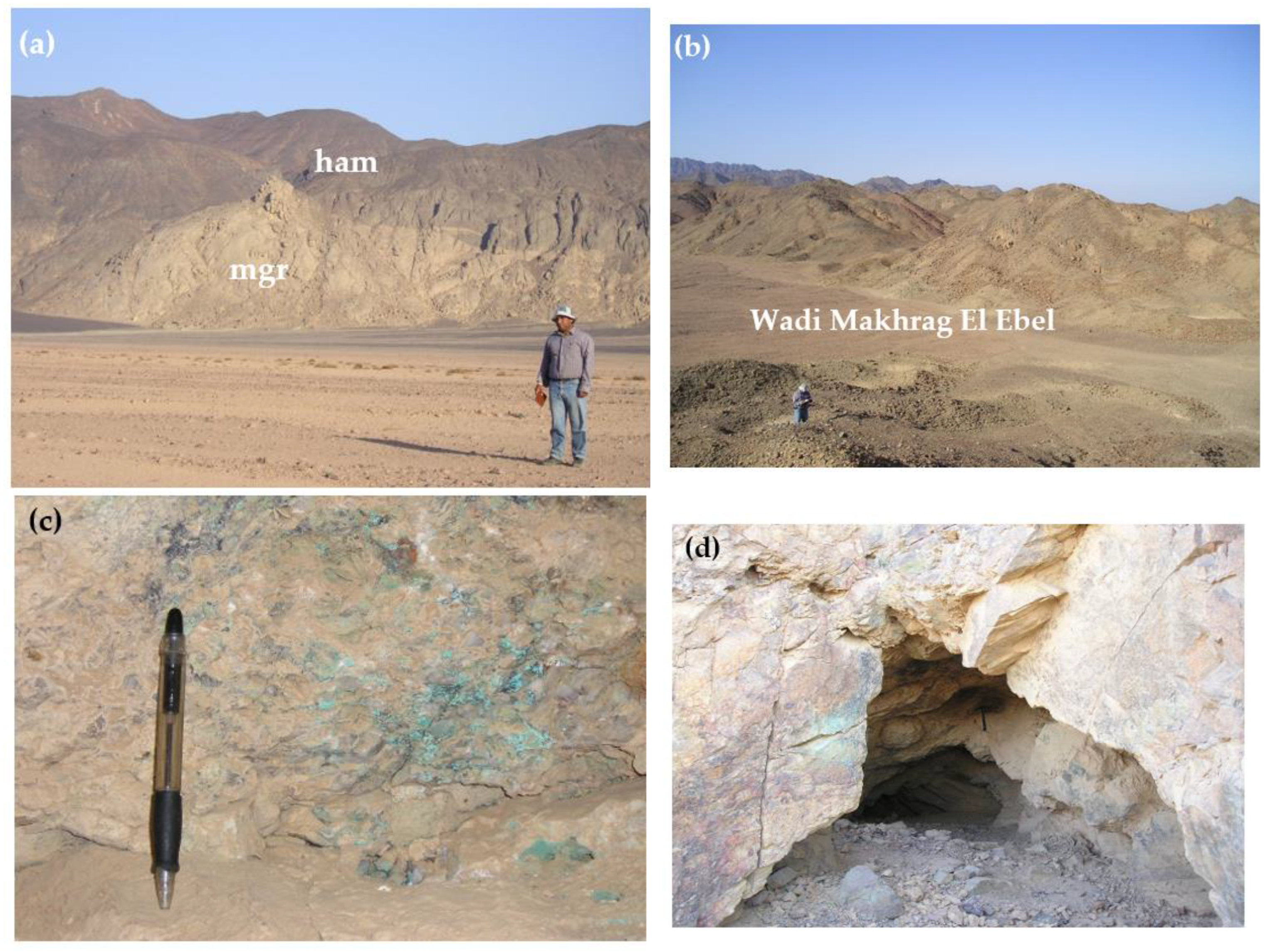 Materials 15 04307 g003a