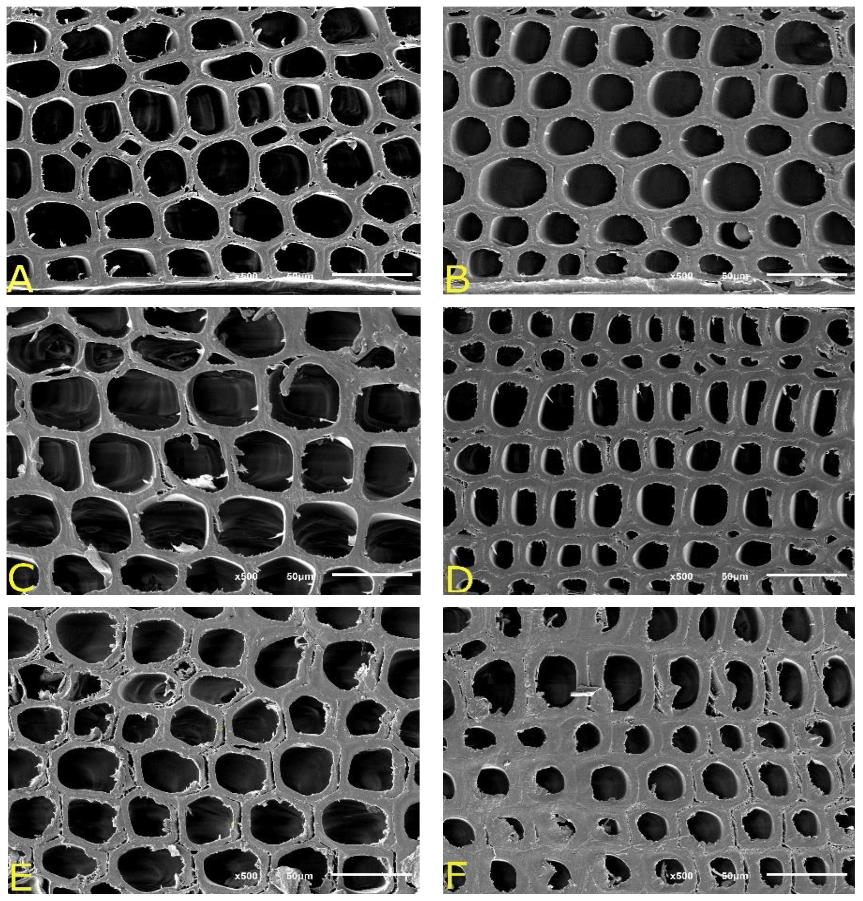 Materials 15 04314 g006 Materials 15 04314 g006