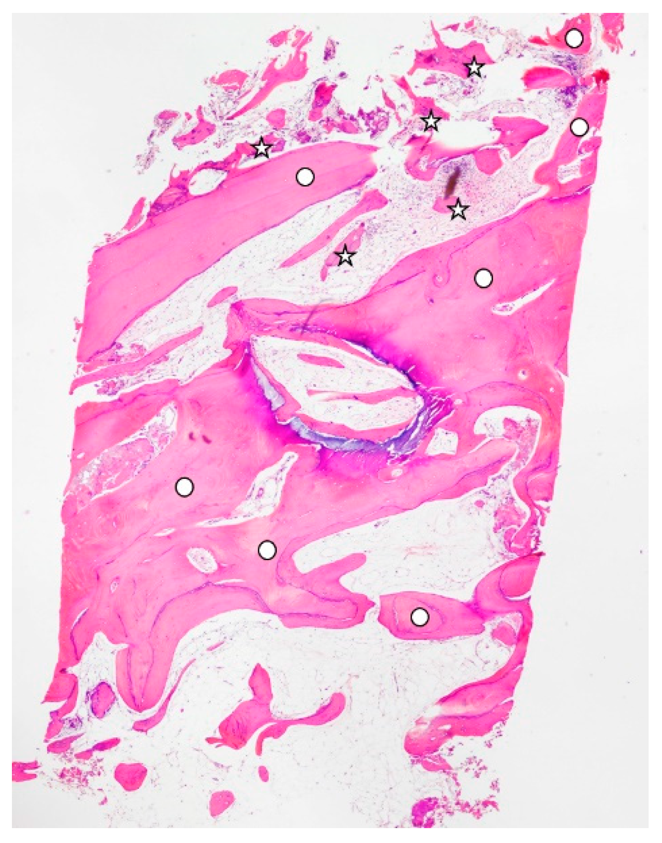 Materials 15 04319 g002