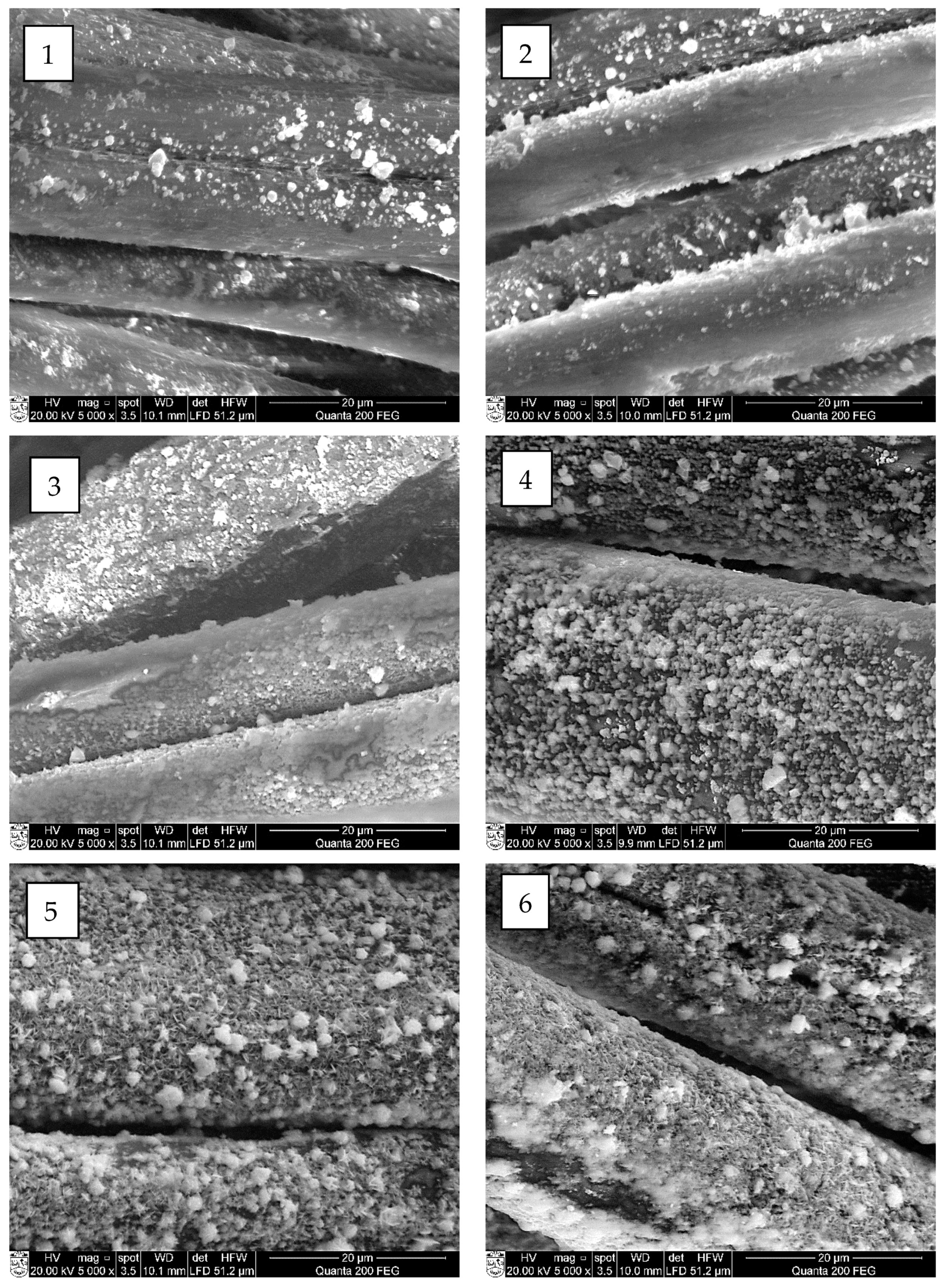 Materials 15 04320 g007 550