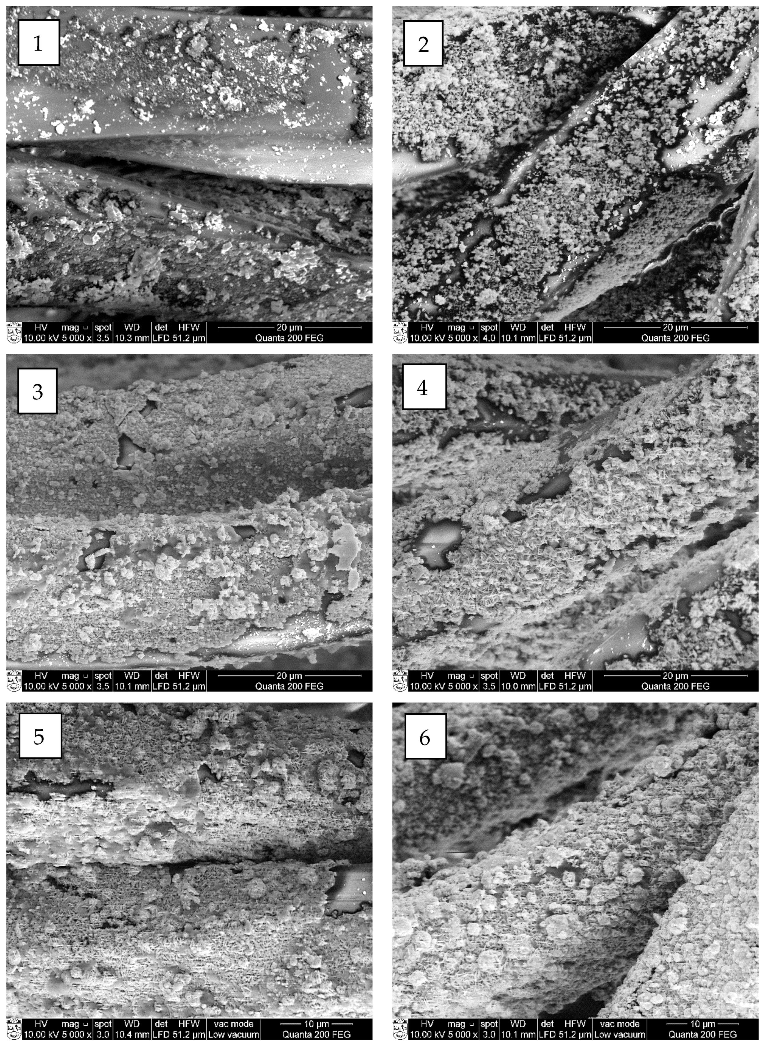 Materials 15 04320 g009 550
