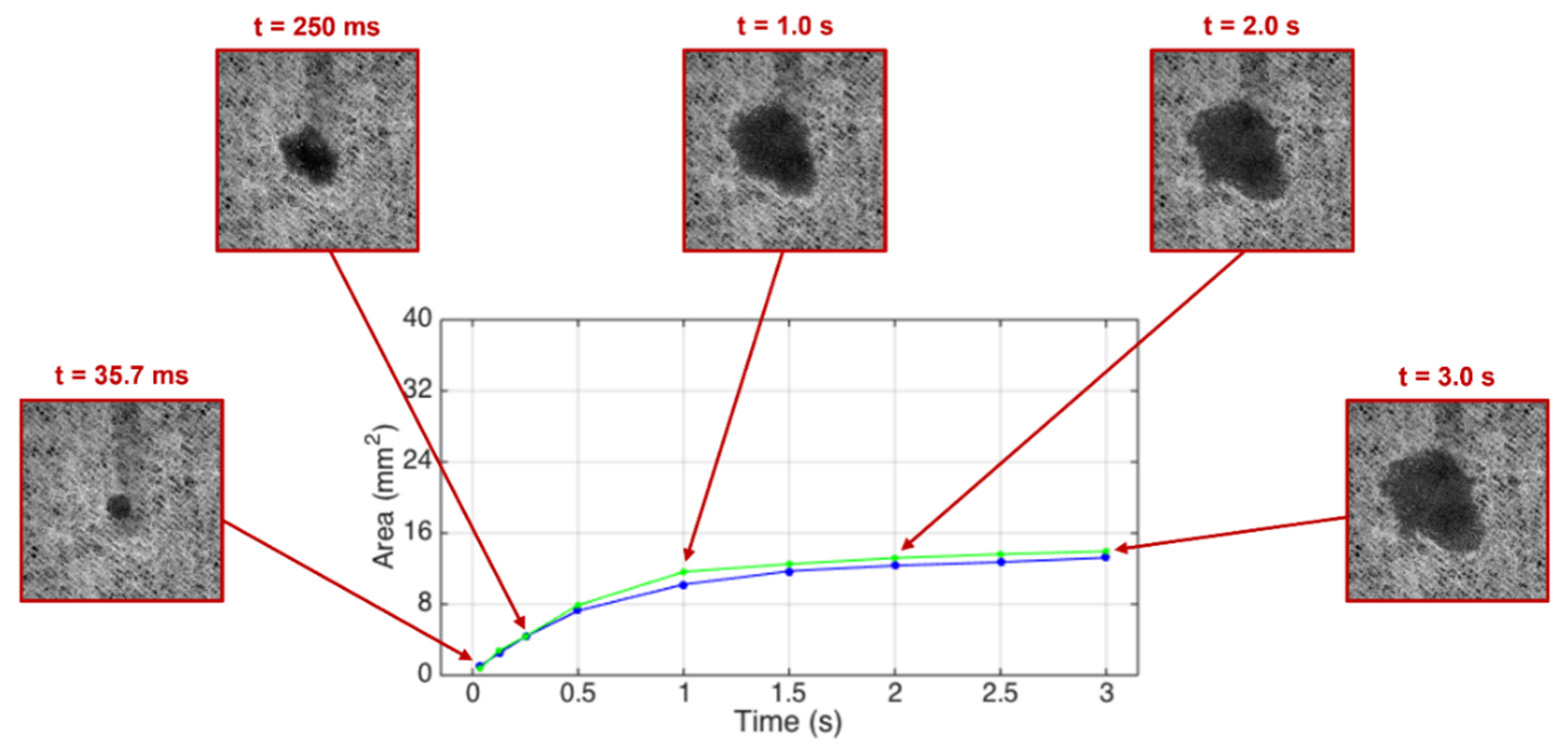 Materials 15 04324 g007 550