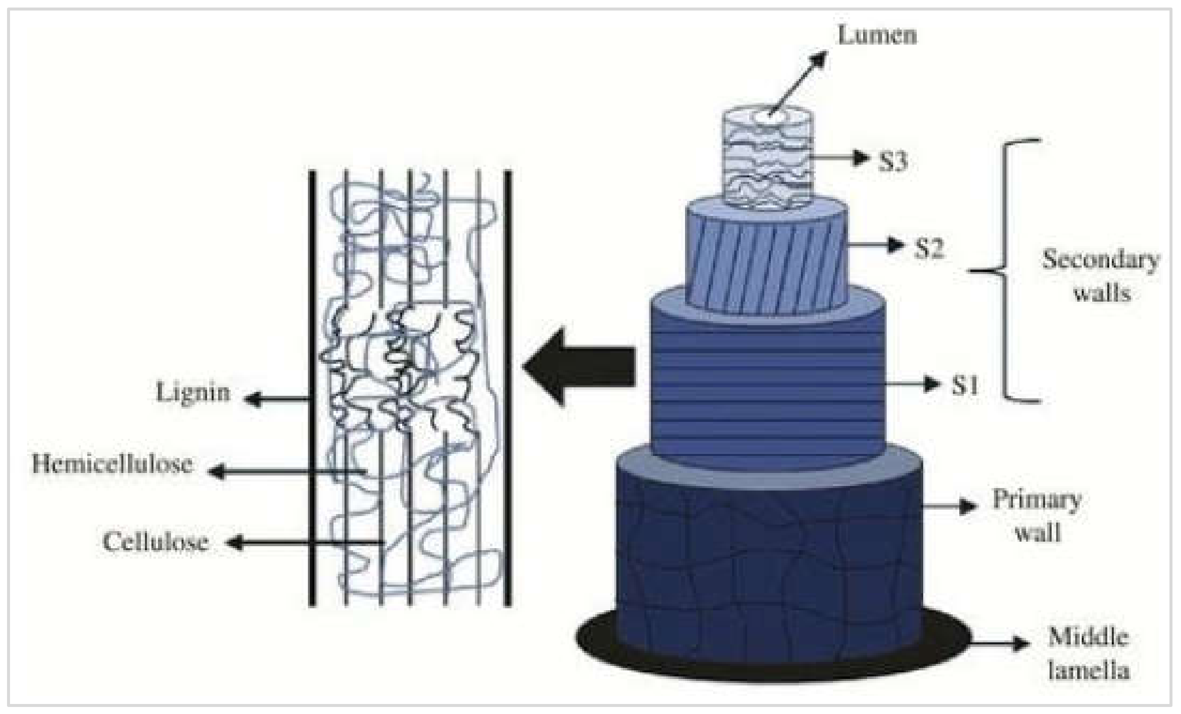Materials 15 04362 g008 Materials 15 04362 g008