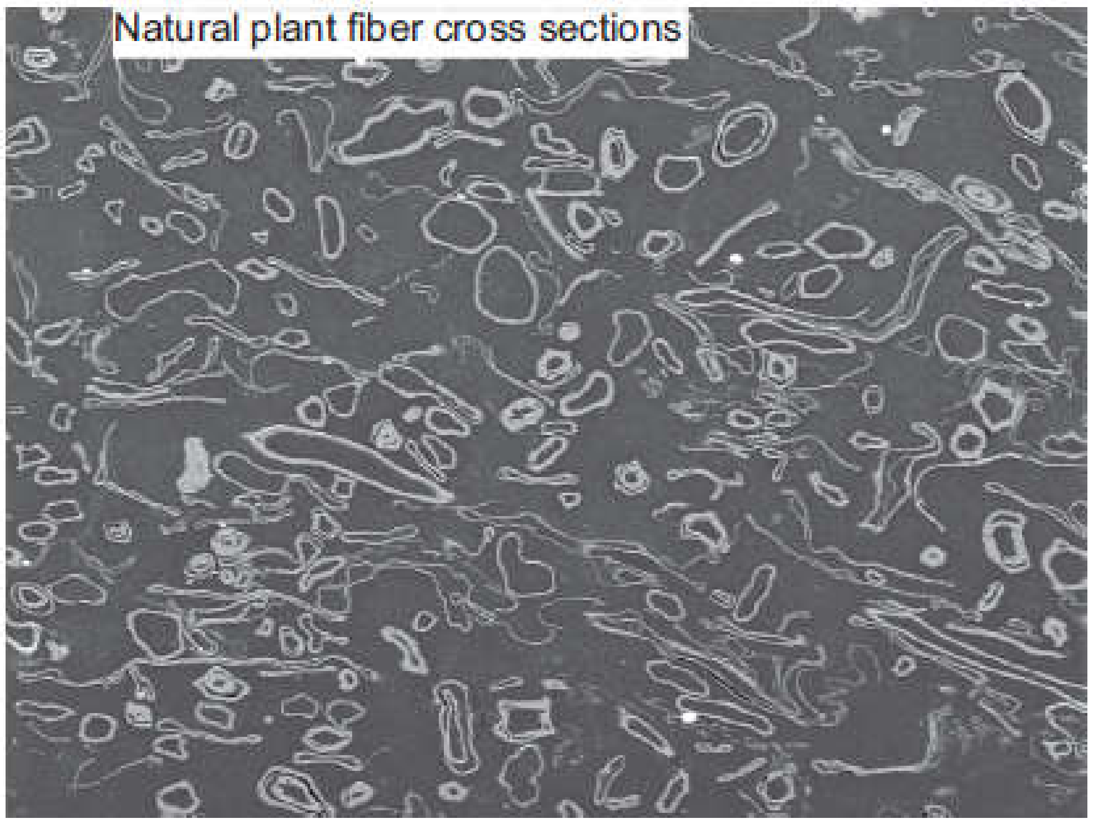 Materials 15 04362 g012 Materials 15 04362 g012