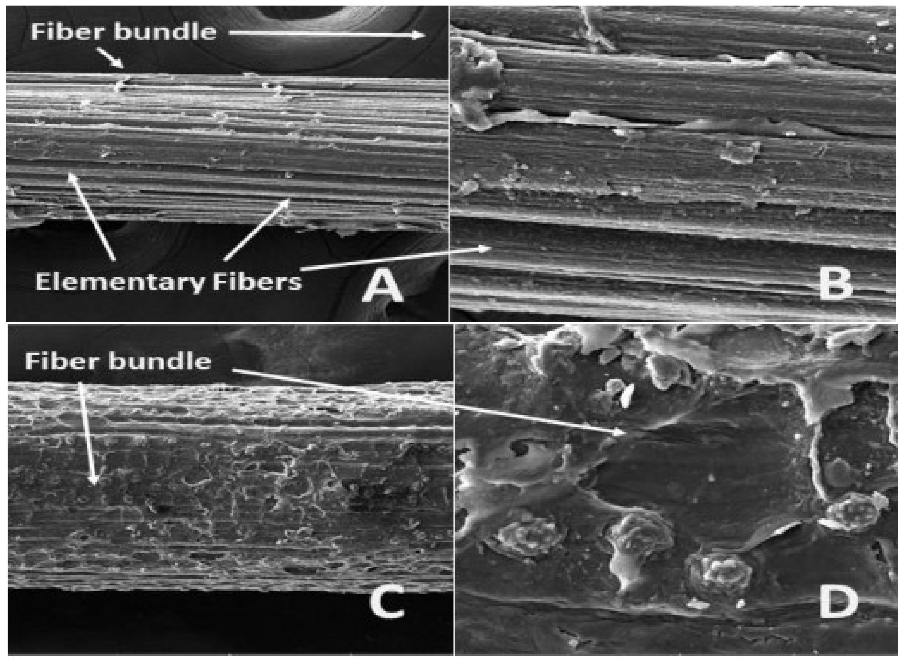 Materials 15 04362 g015 Materials 15 04362 g015