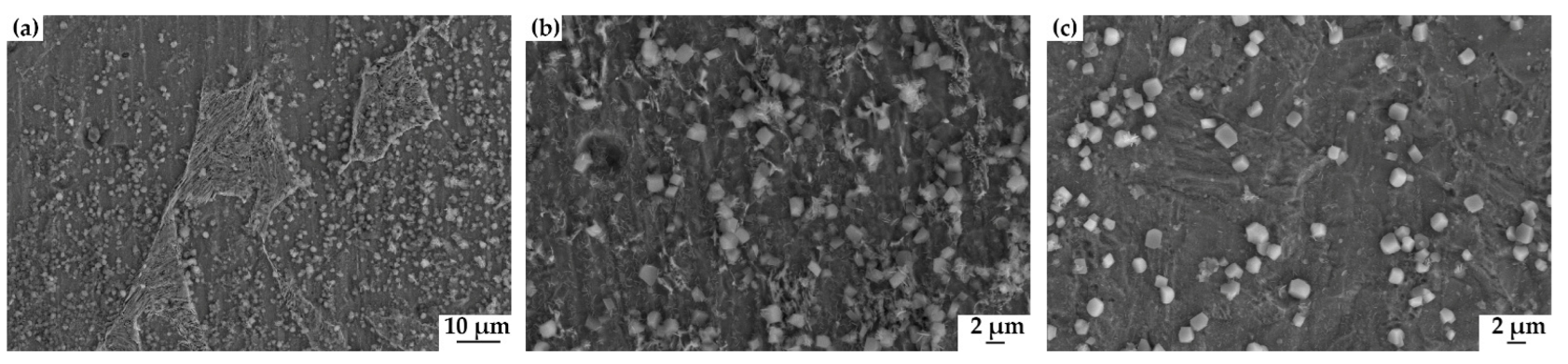 Materials 15 04372 g005 550