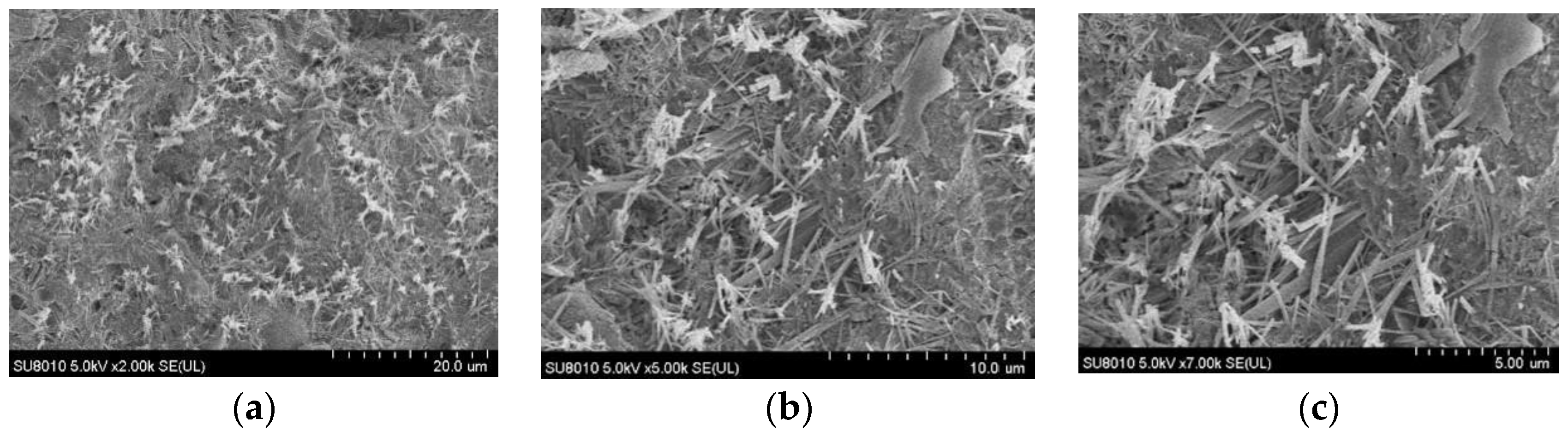 Materials 15 04380 g011 550