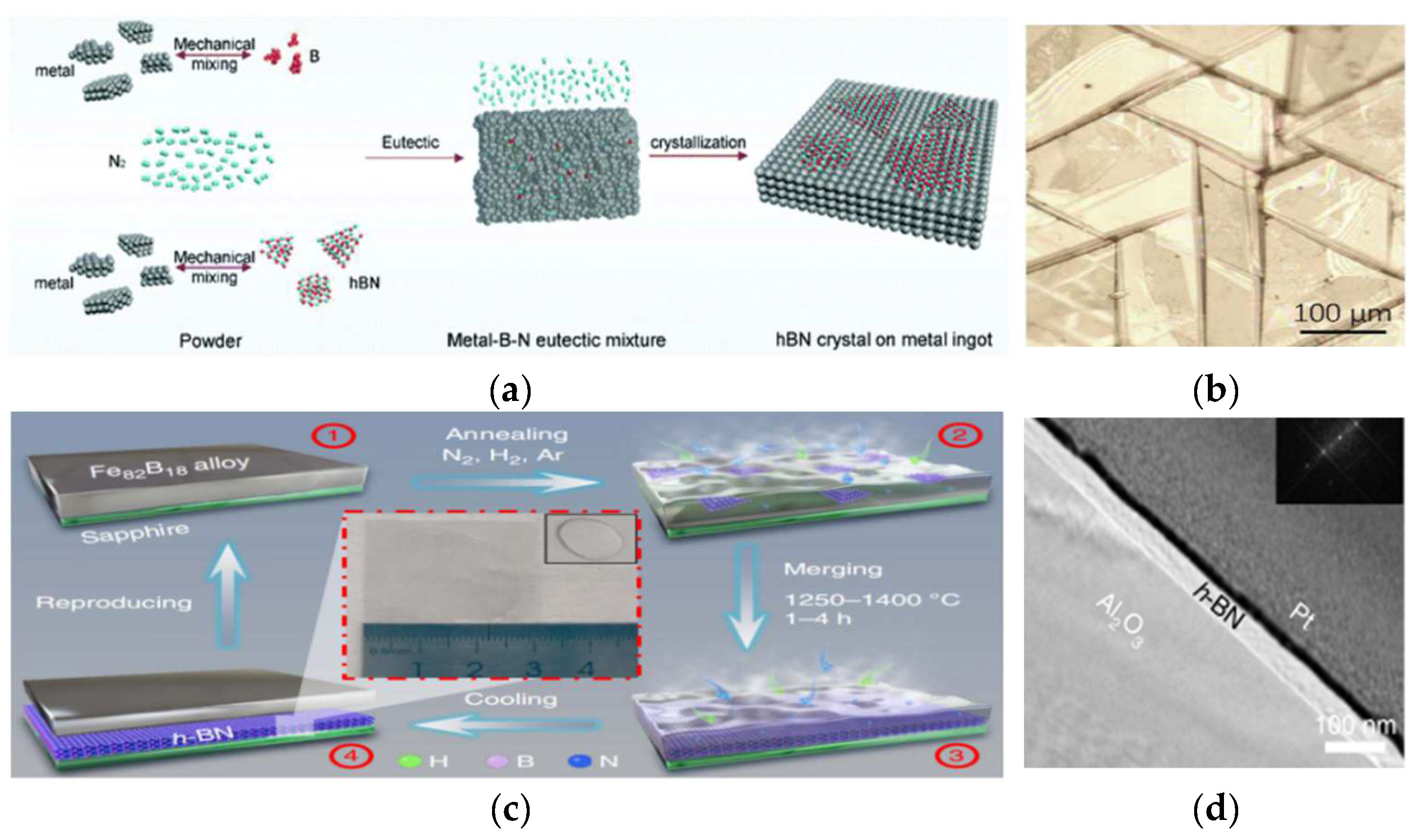 Materials 15 04396 g022 550