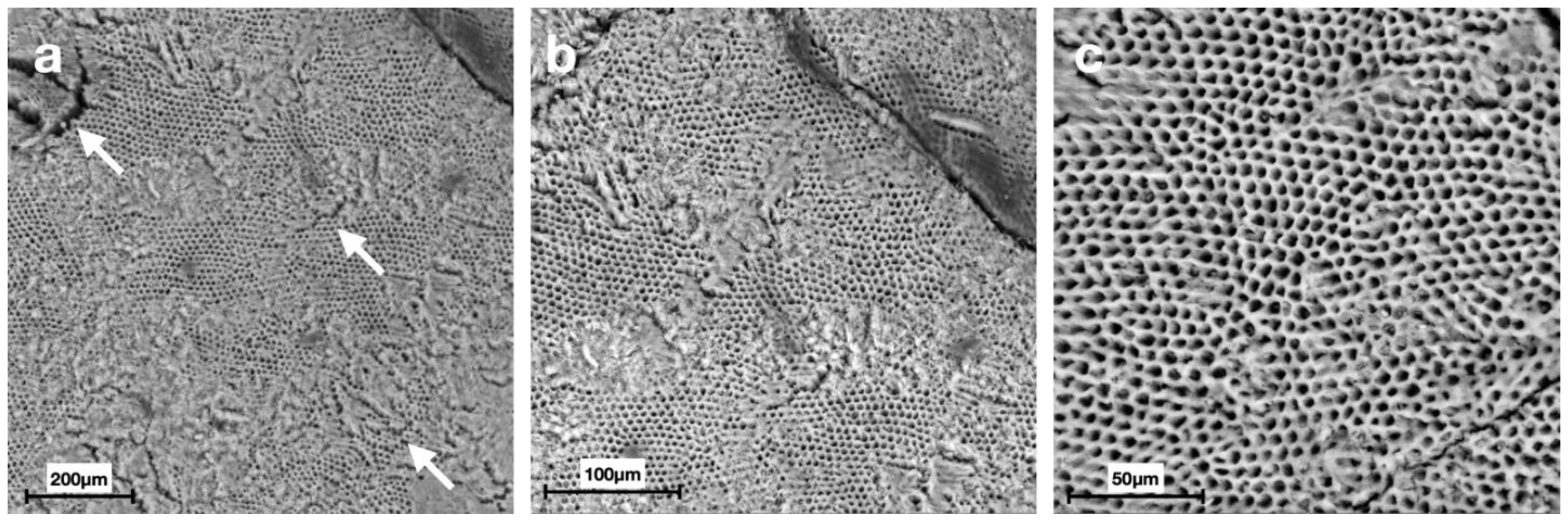 Materials 15 04398 g003