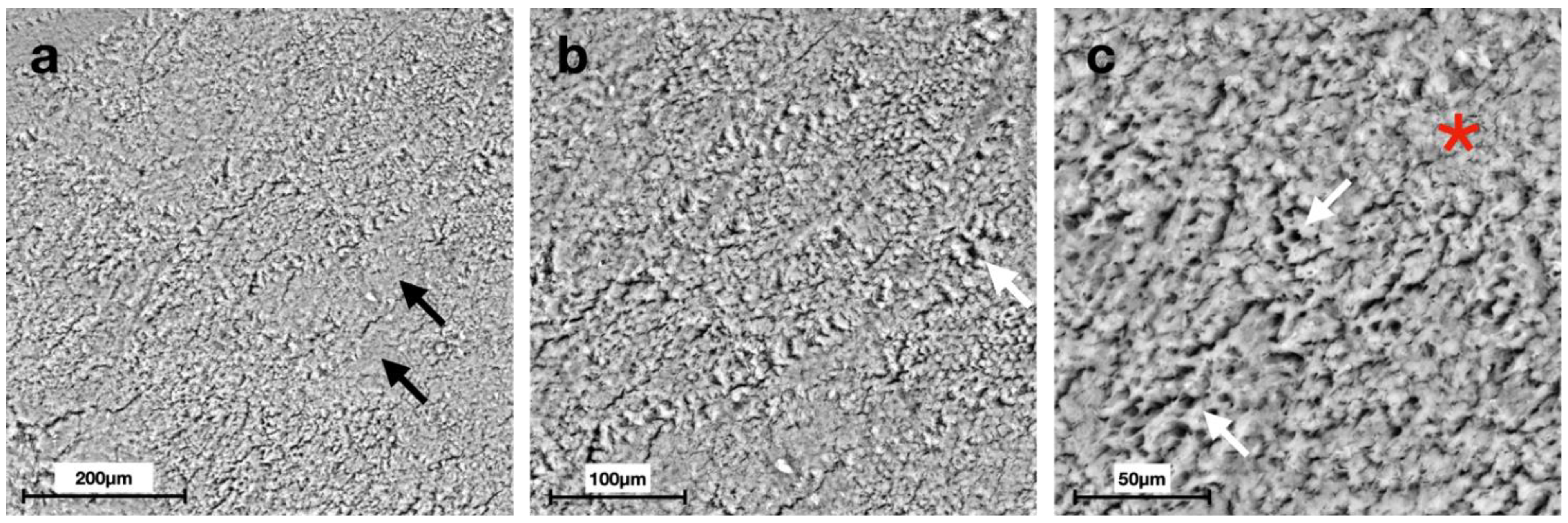 Materials 15 04398 g004