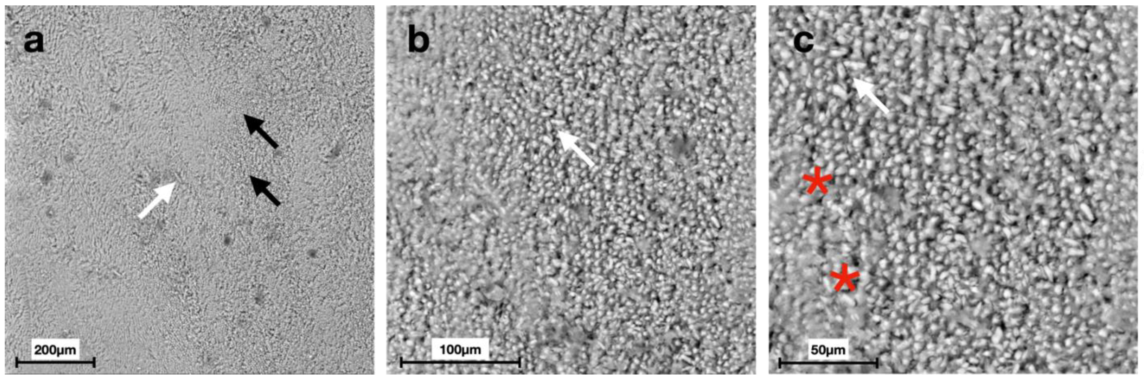 Materials 15 04398 g007