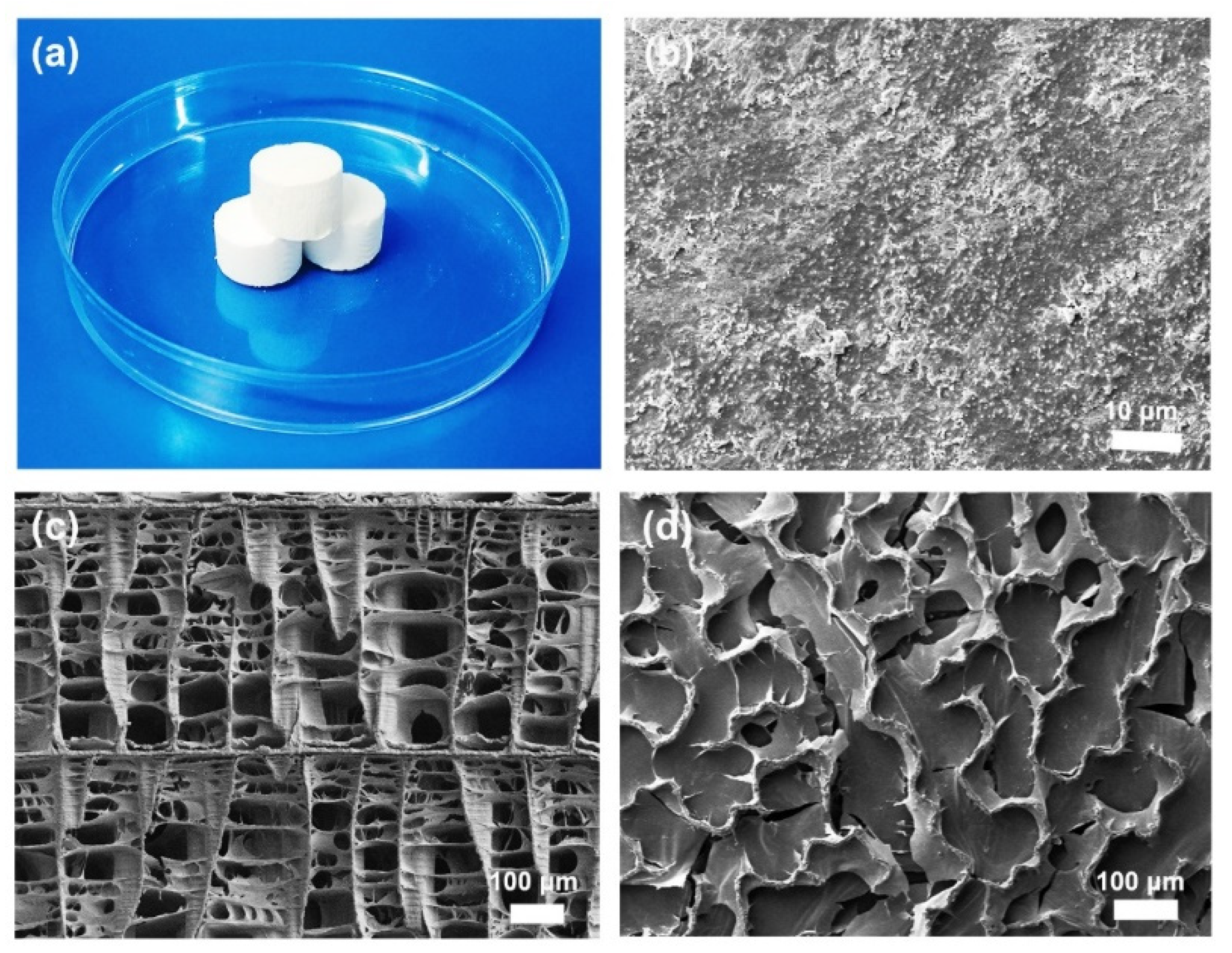 Materials 15 04401 g002