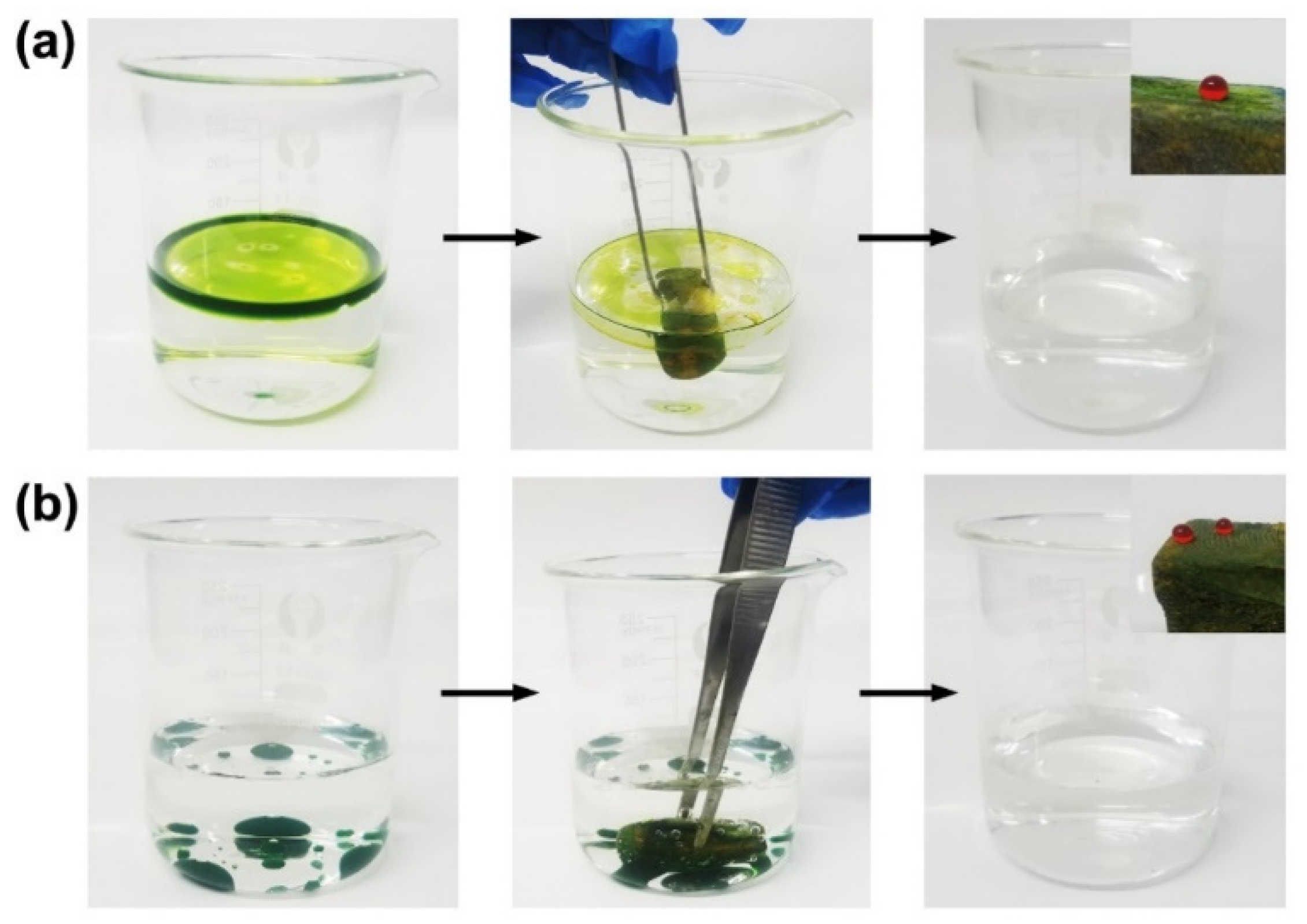 Materials 15 04401 g006